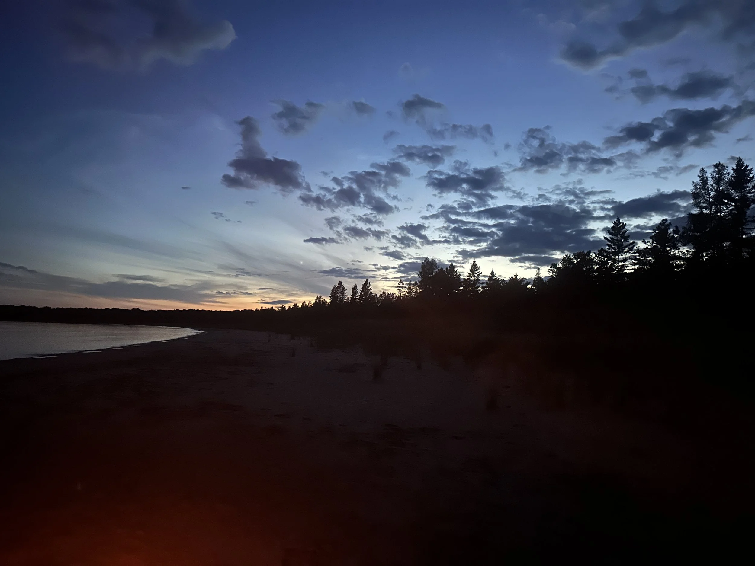 Twilight beauty