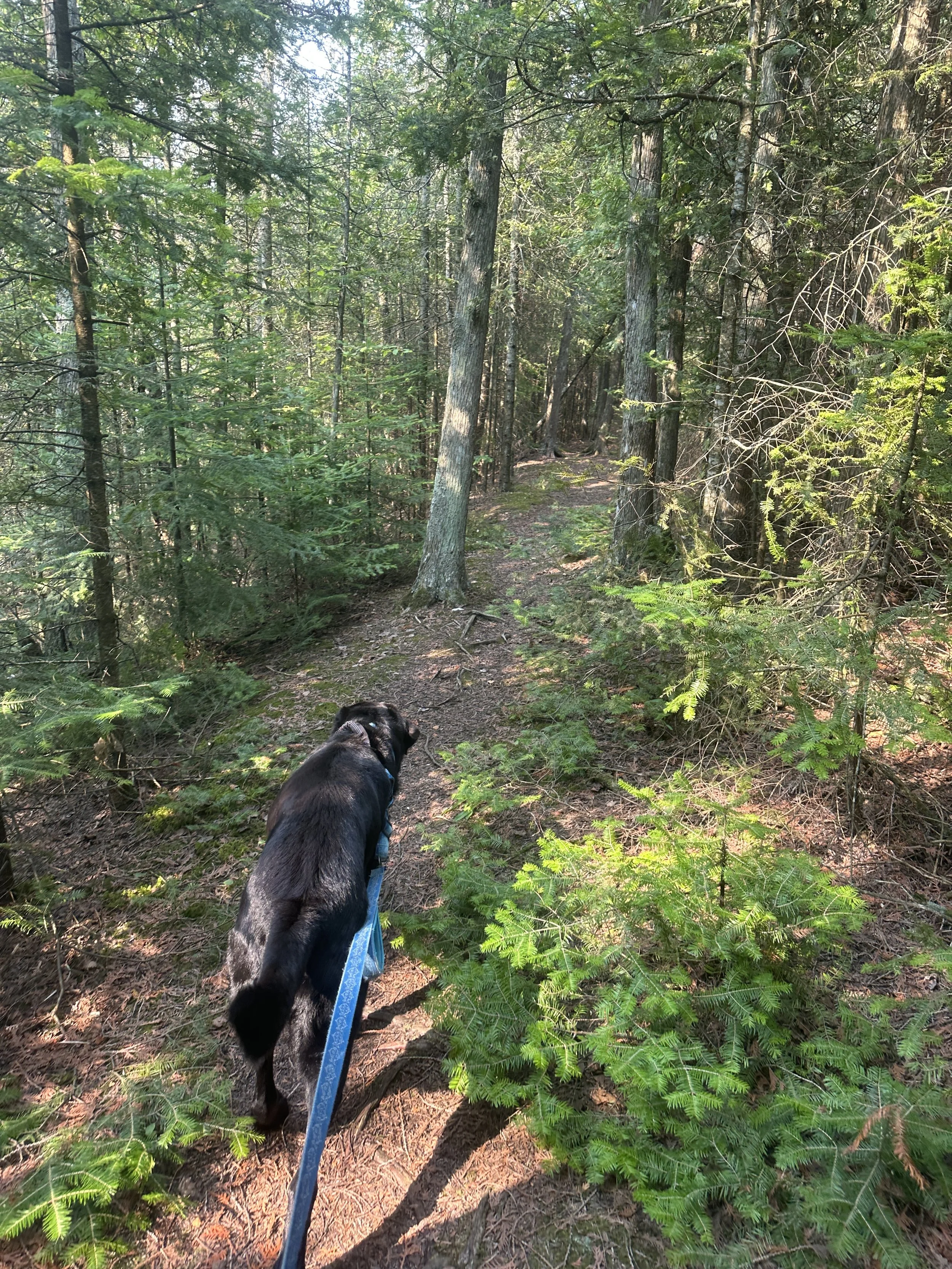 Hiking Government Island