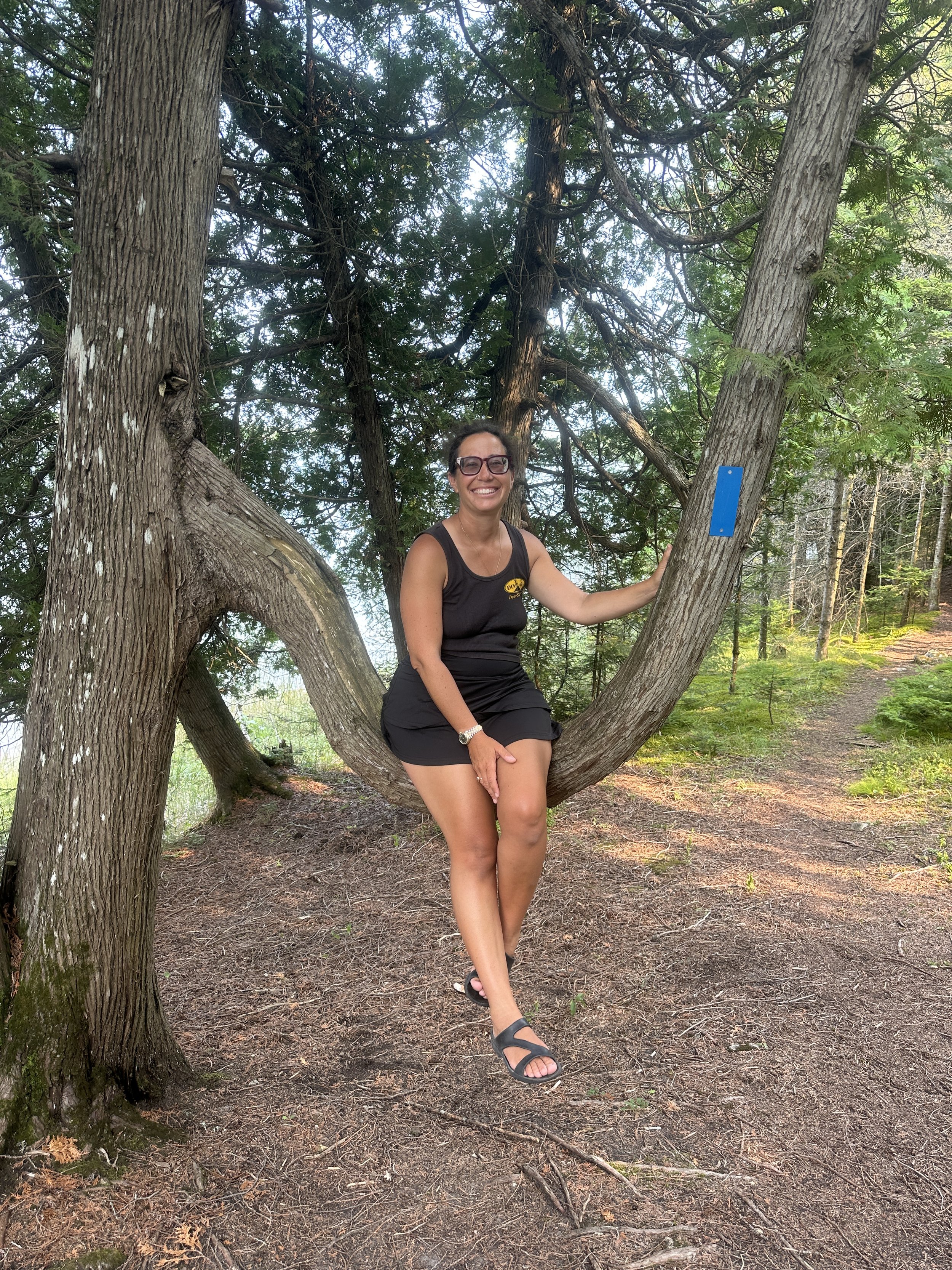 Fun tree!