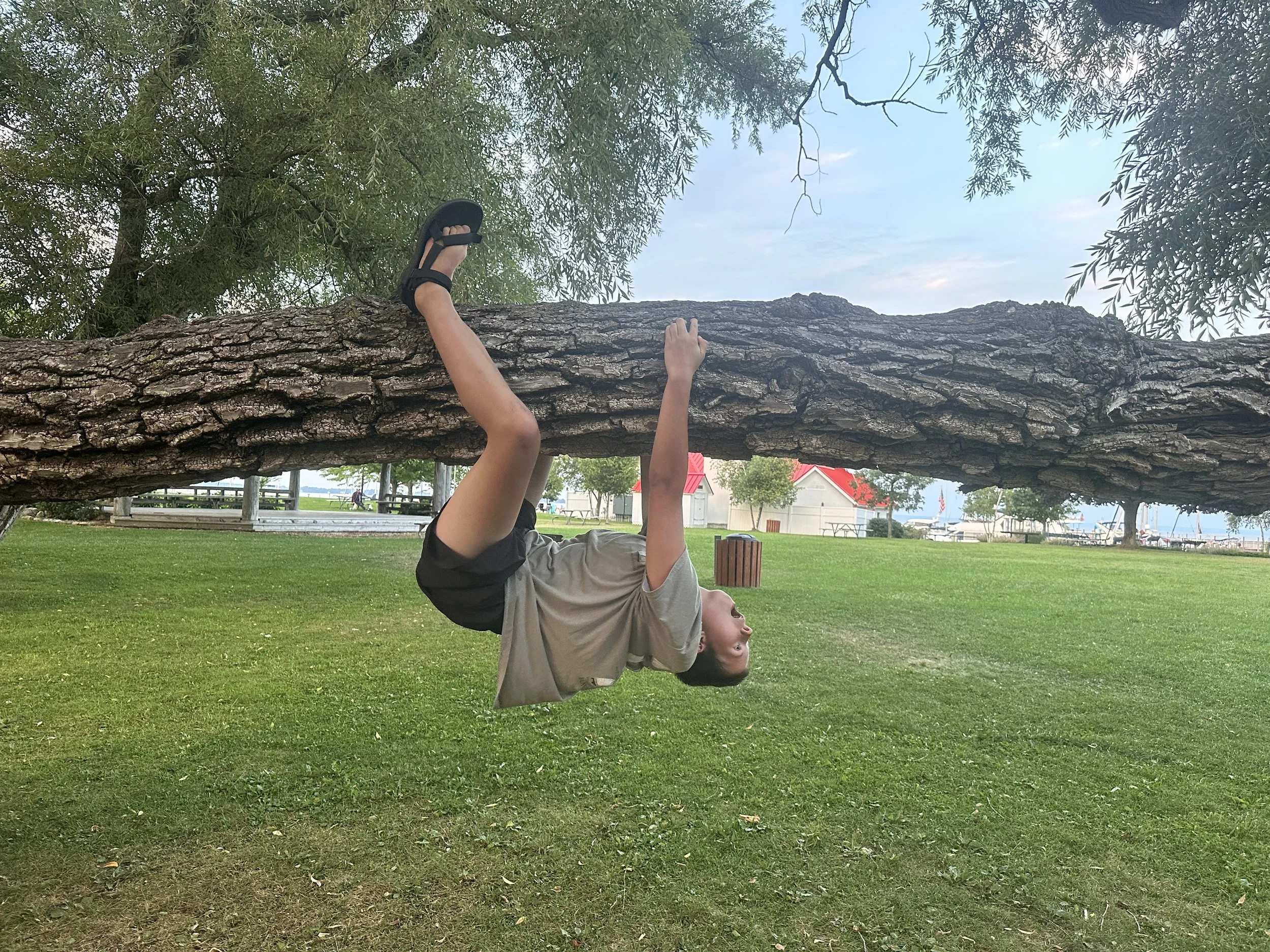 Unexpected fun in Northport