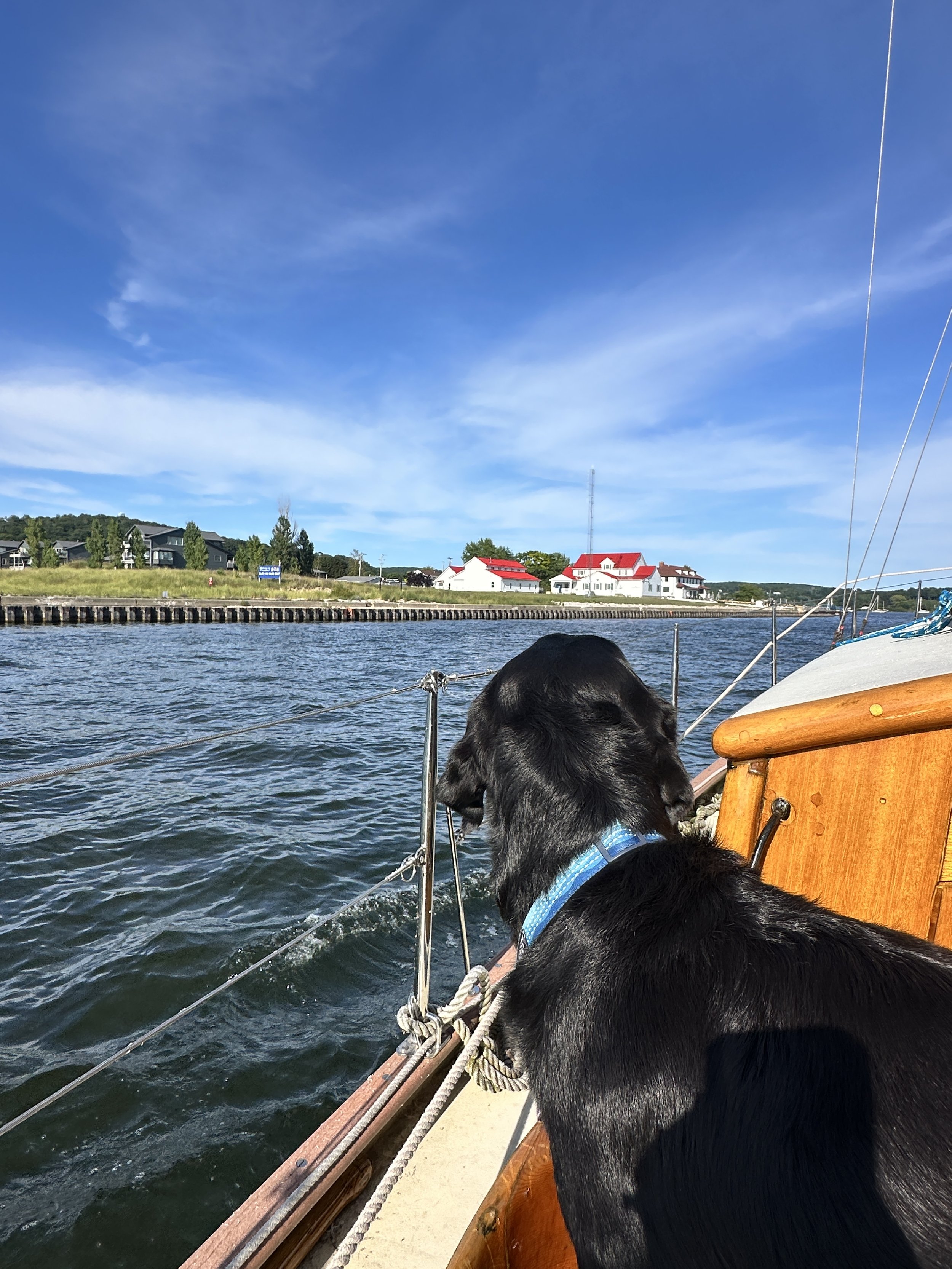 Kona smells land and investiages