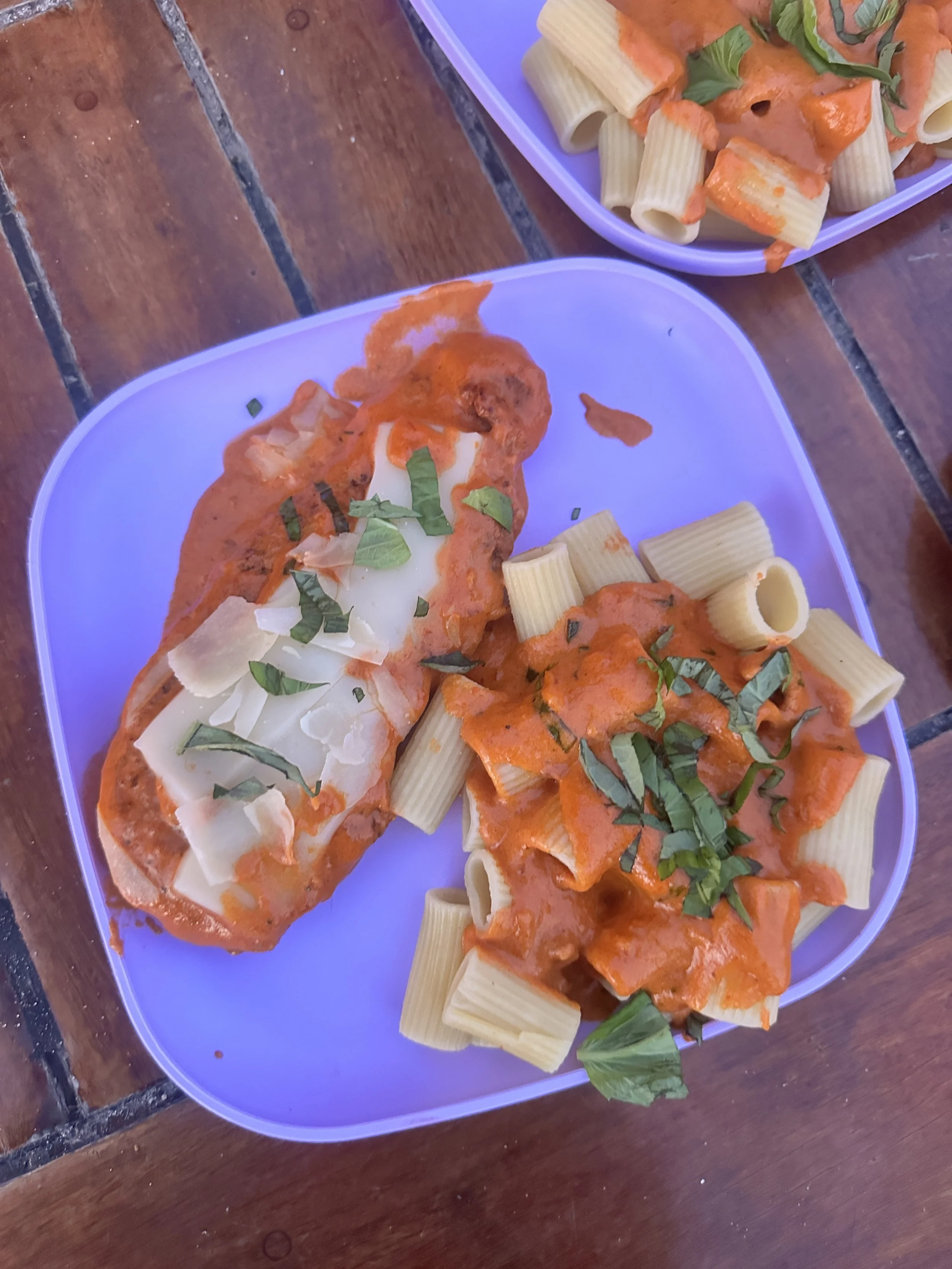 Cory's Vodka Sauce dinner