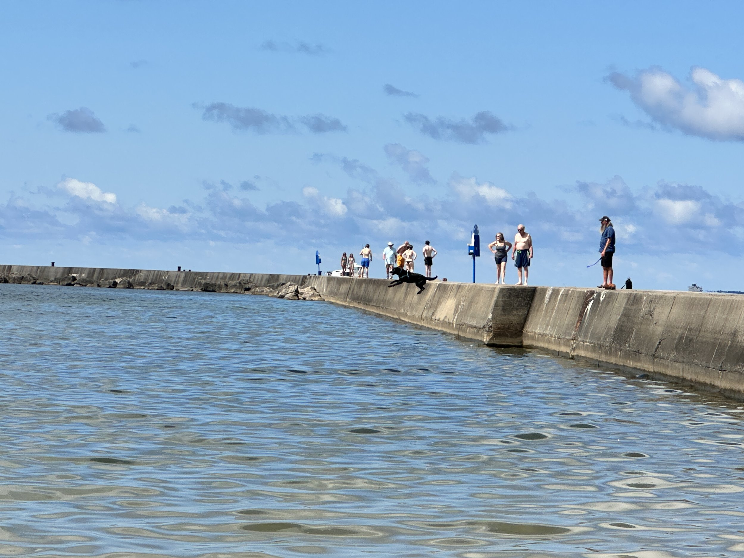 Pier jumping