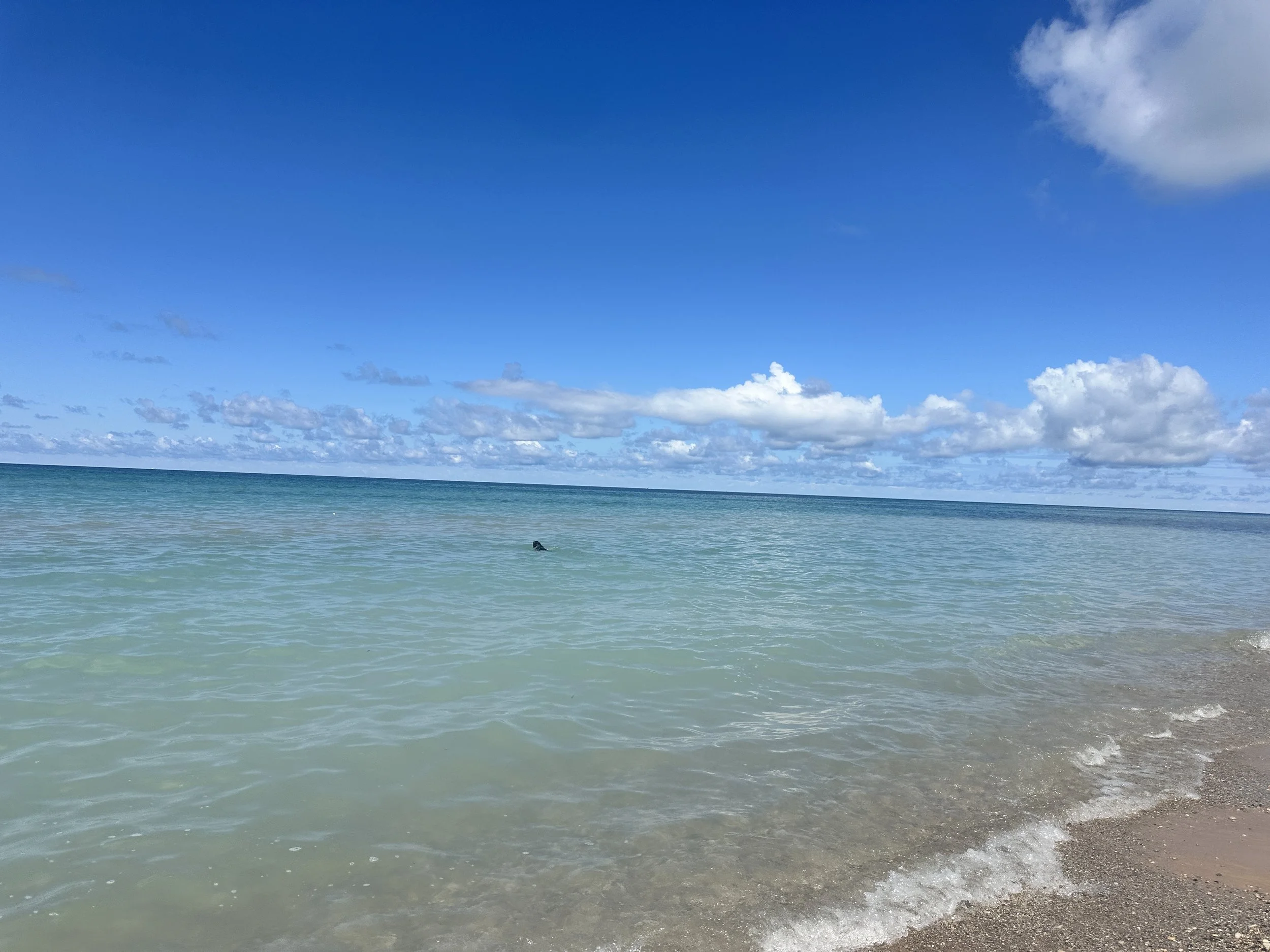 The beautiful water
