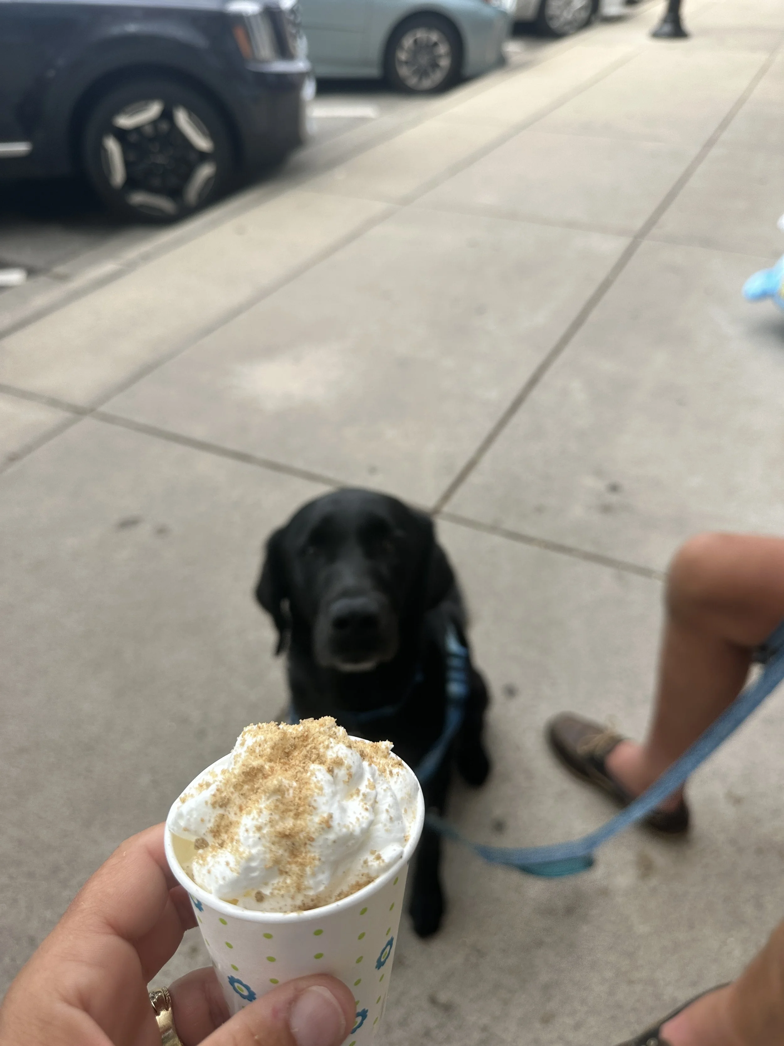 Pup cup happiness