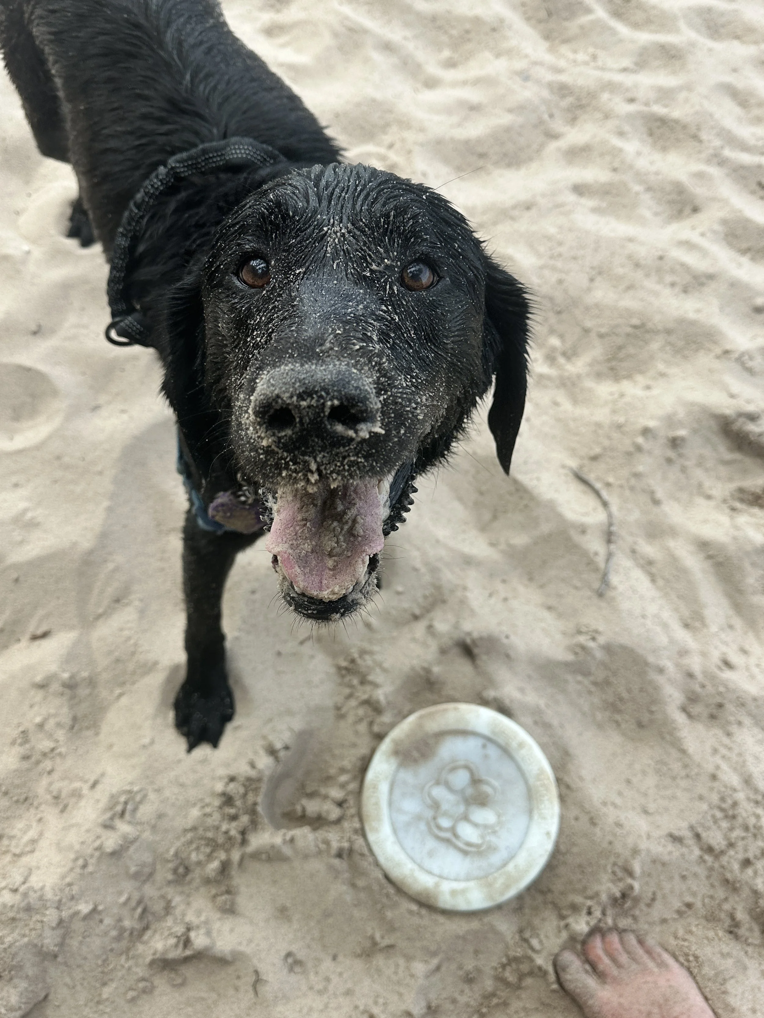 Sand in snoot, life is gut