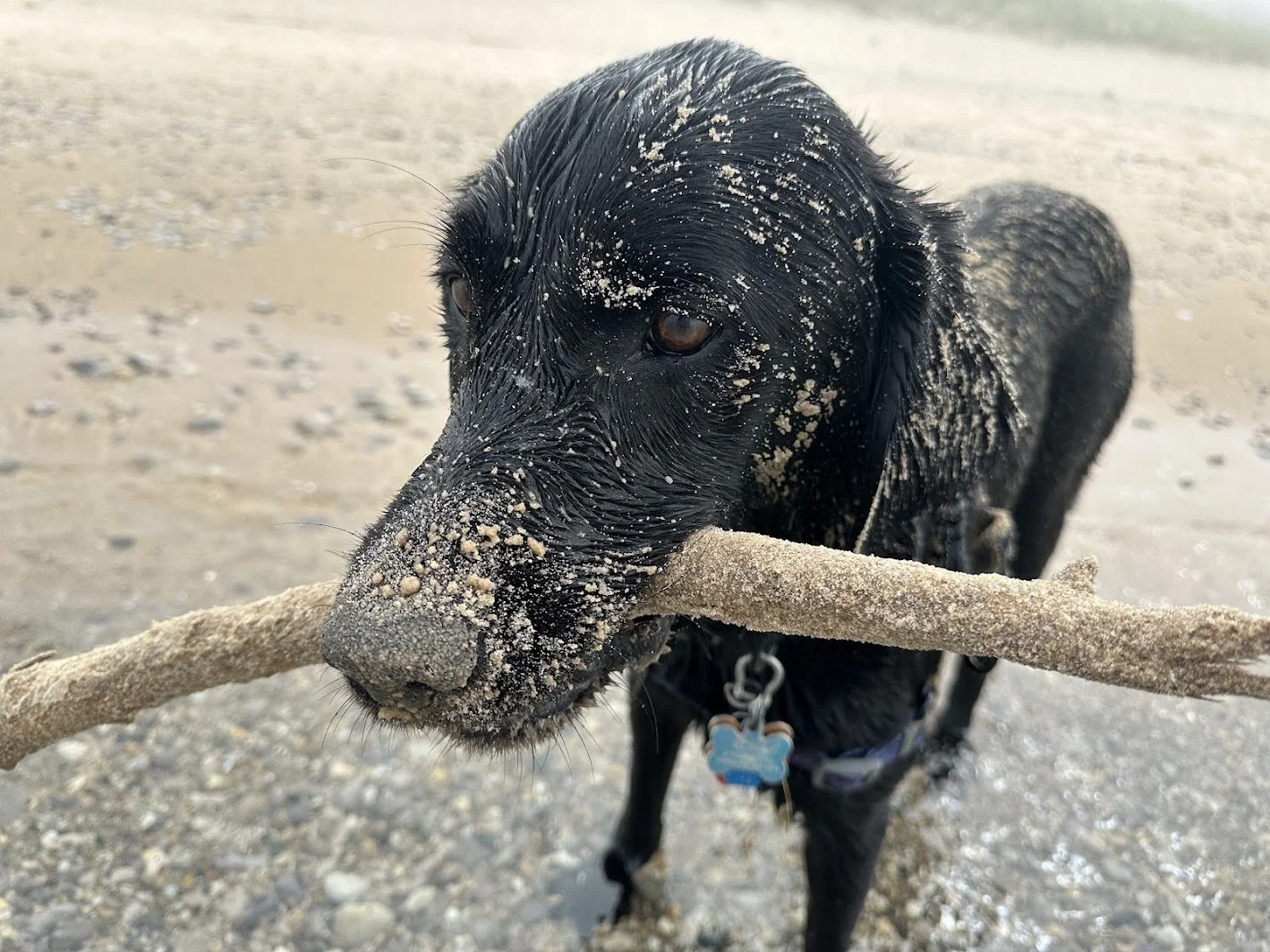 IMG_9751 (1).jpg