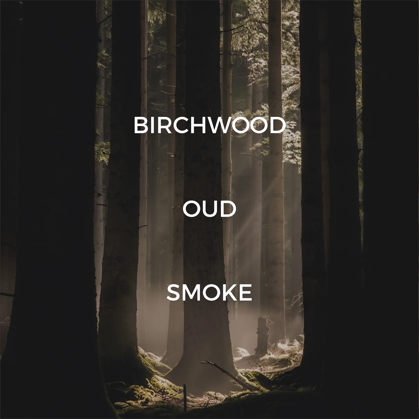 Woods Room Spray2.webp