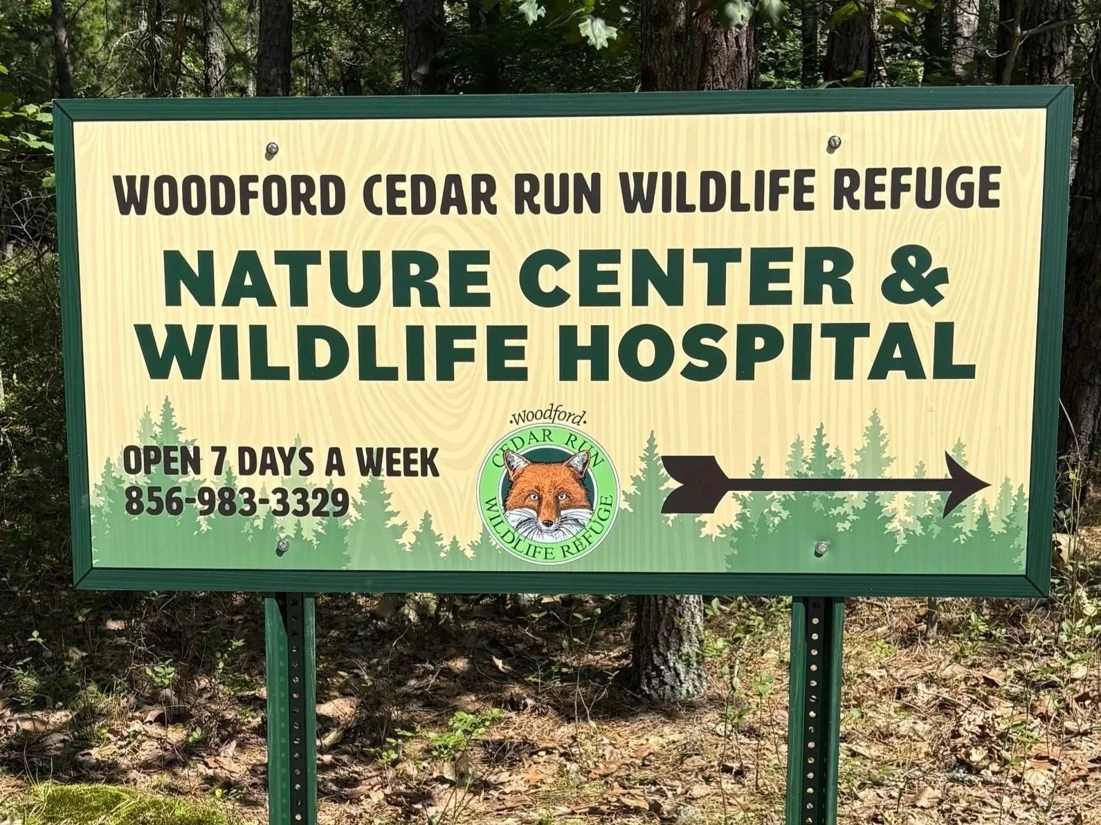 Cedar Run