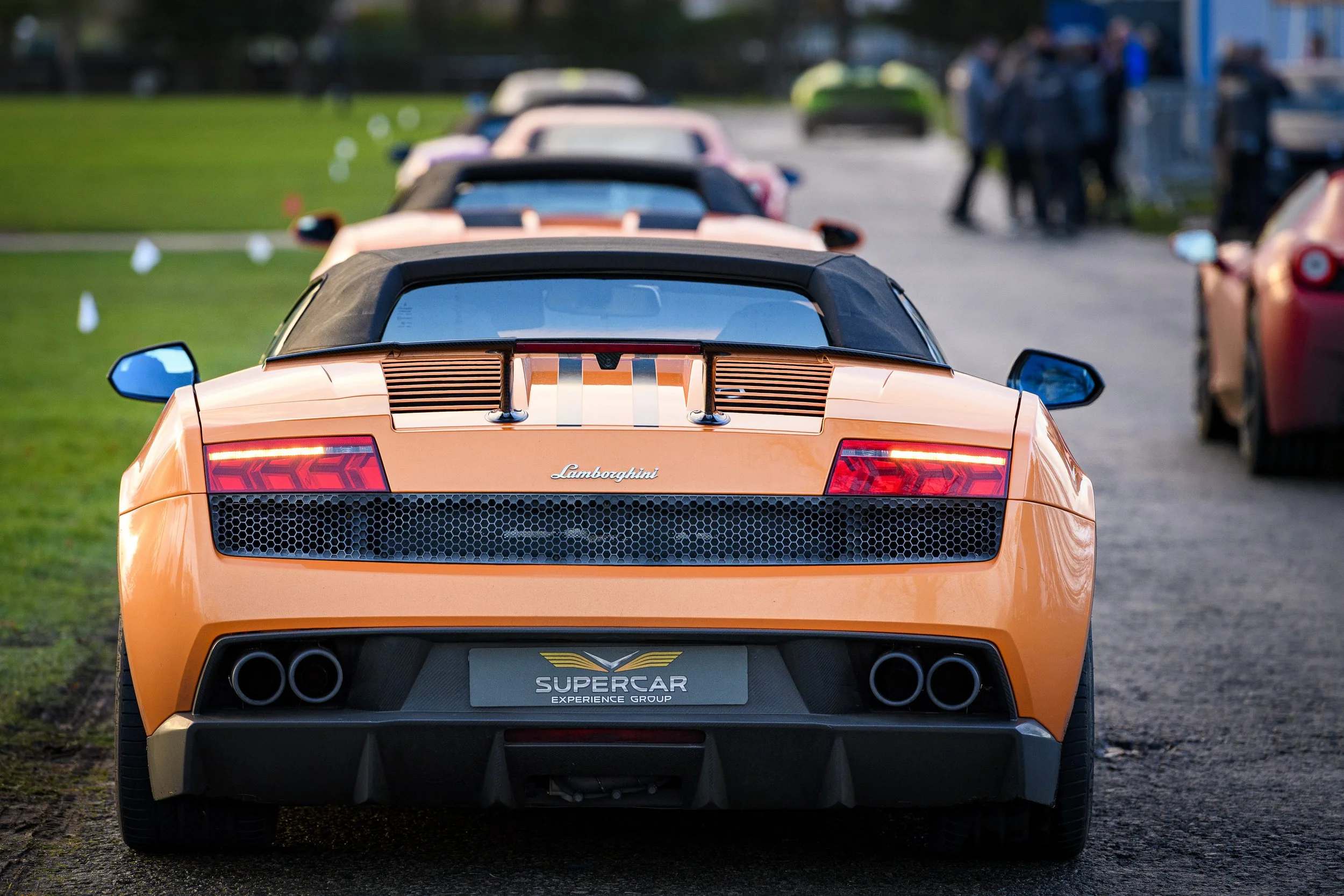 RHS STock_70.JPG