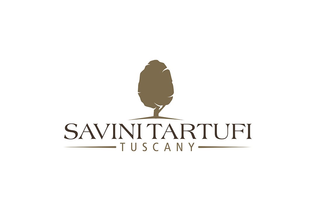 Savini-Ambient-logos.jpg