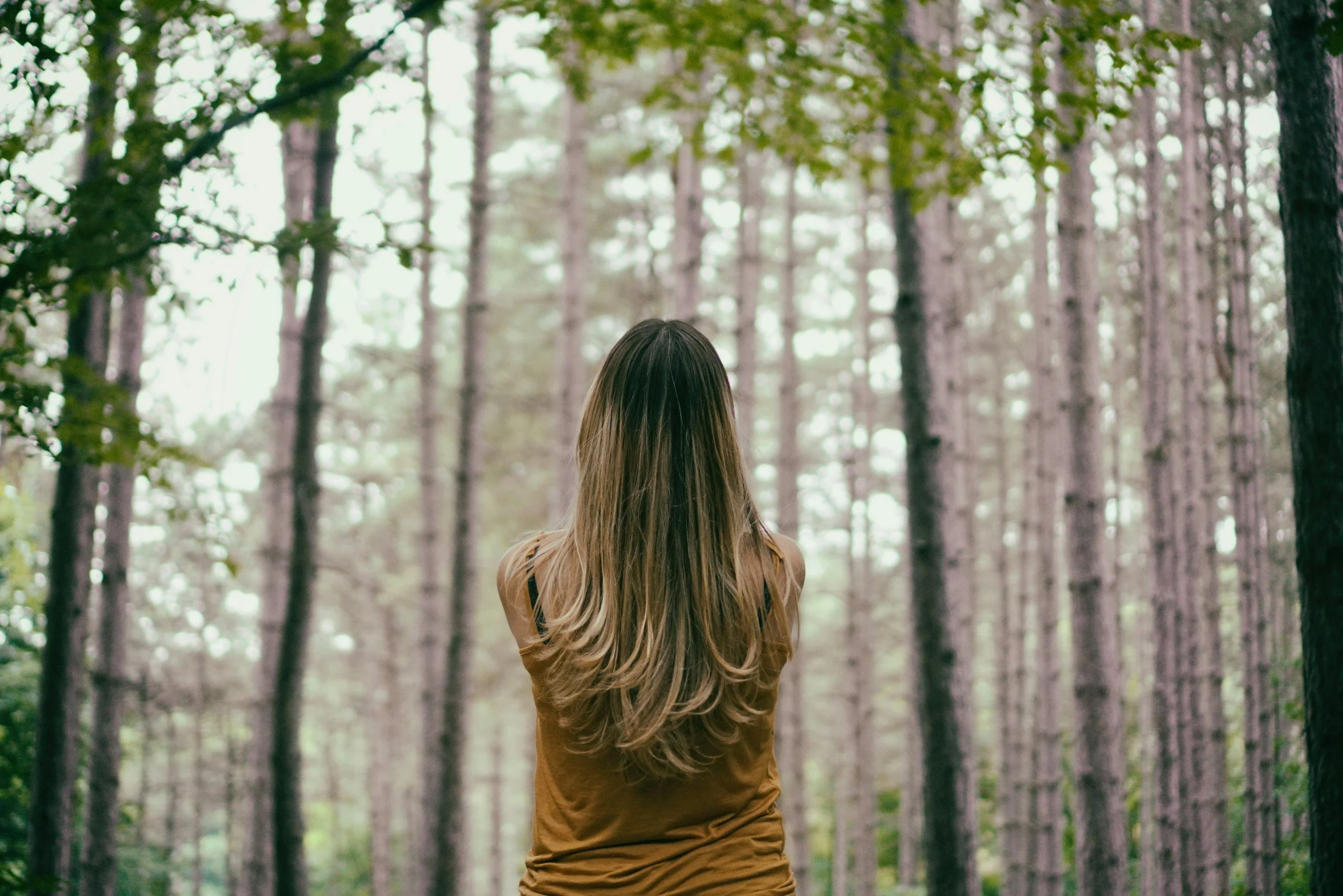 A woman with long hair standing in a forest with tall trees and green leaves, facing away from the camera.