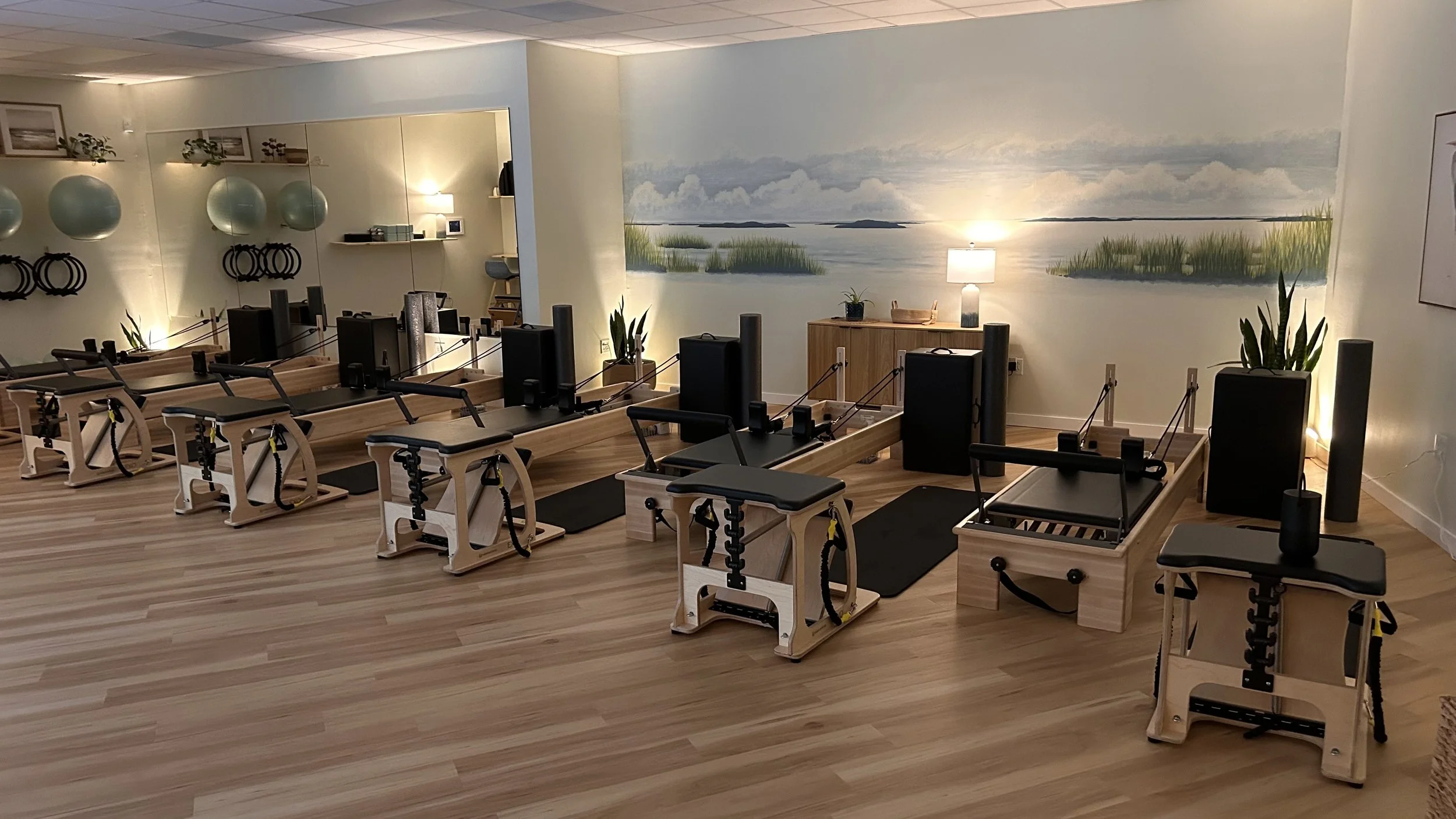 Pilates Chairs, Reformers and Balls