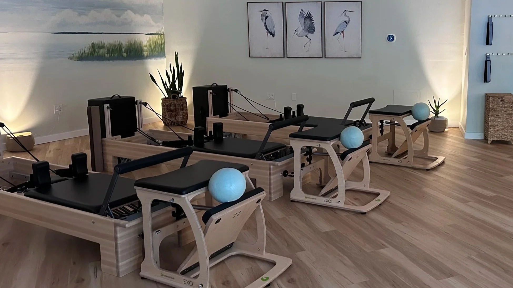 A peaceful wetland scene at sunrise with calm water, tall green grass, and a soft mist in the background.