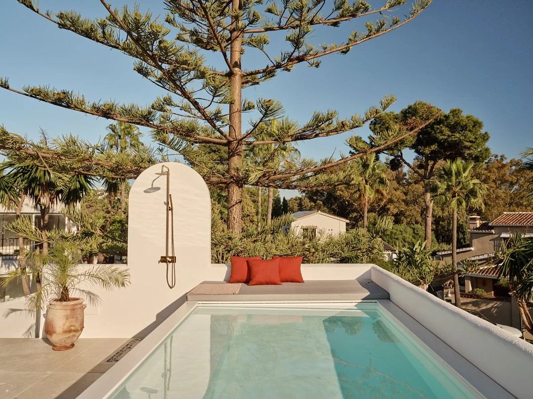 Palmito Nov25_6 71.jpg