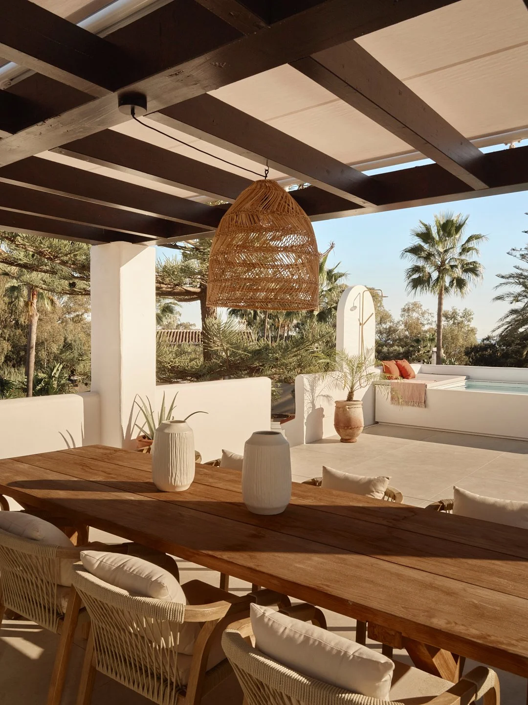 Palmito Nov25_6 43.jpg