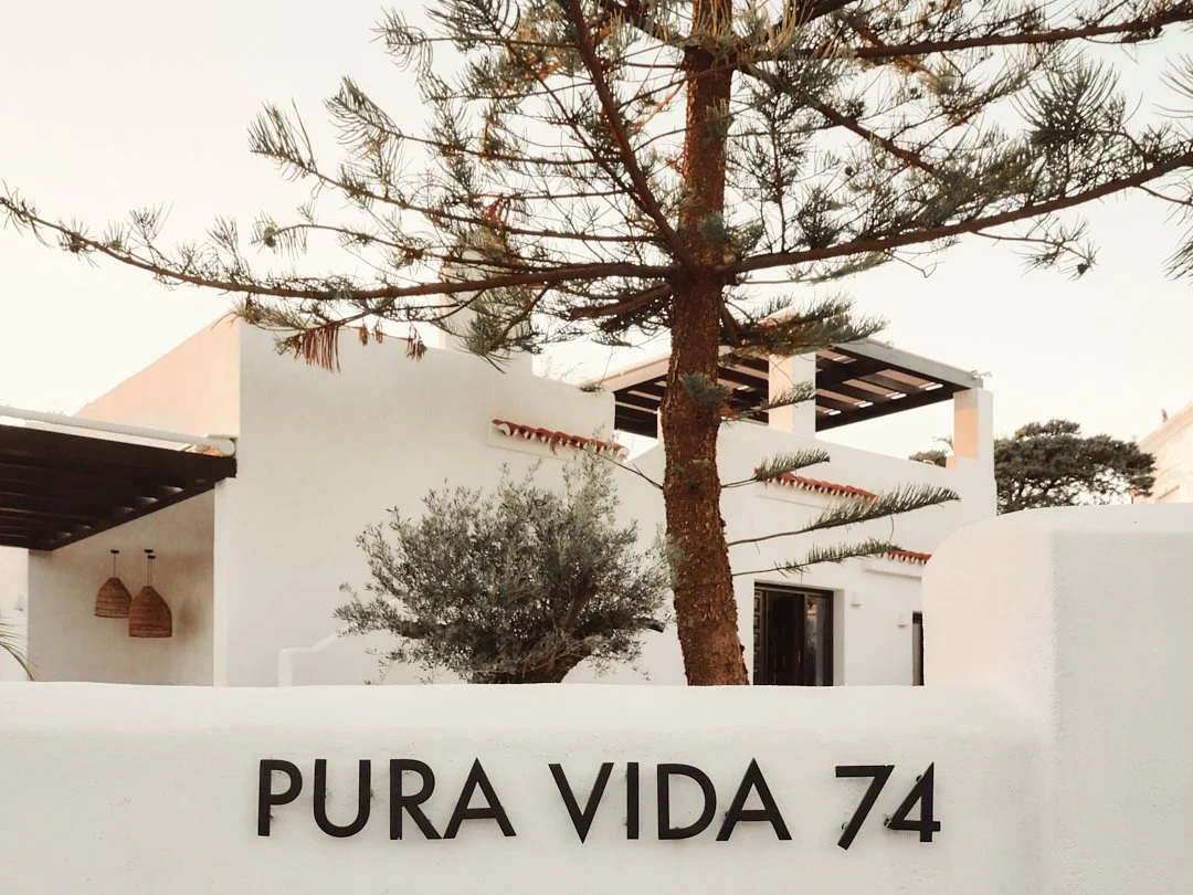 Palmito Nov25_6 176.jpg