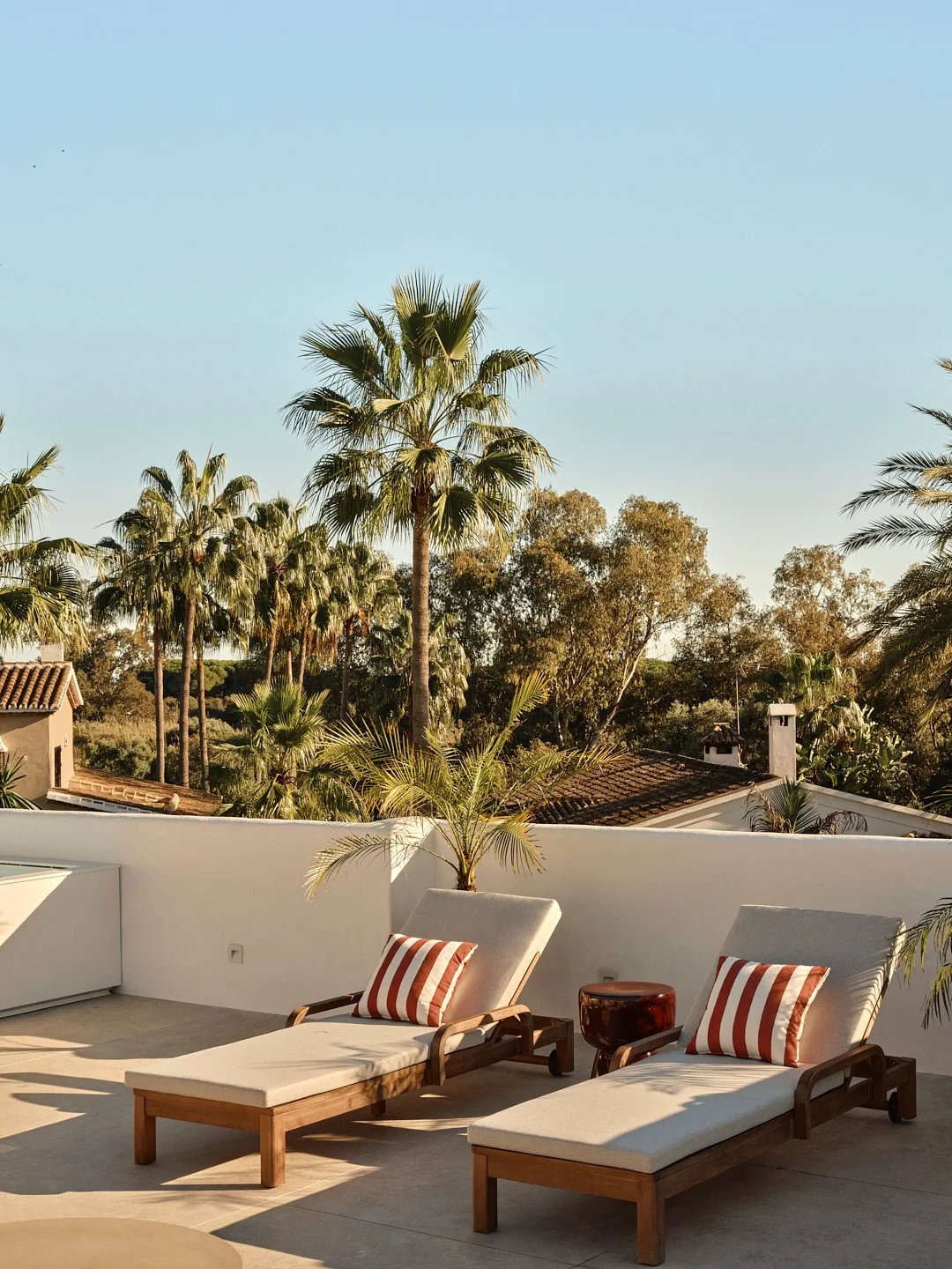 Palmito Nov25_6 54.jpg