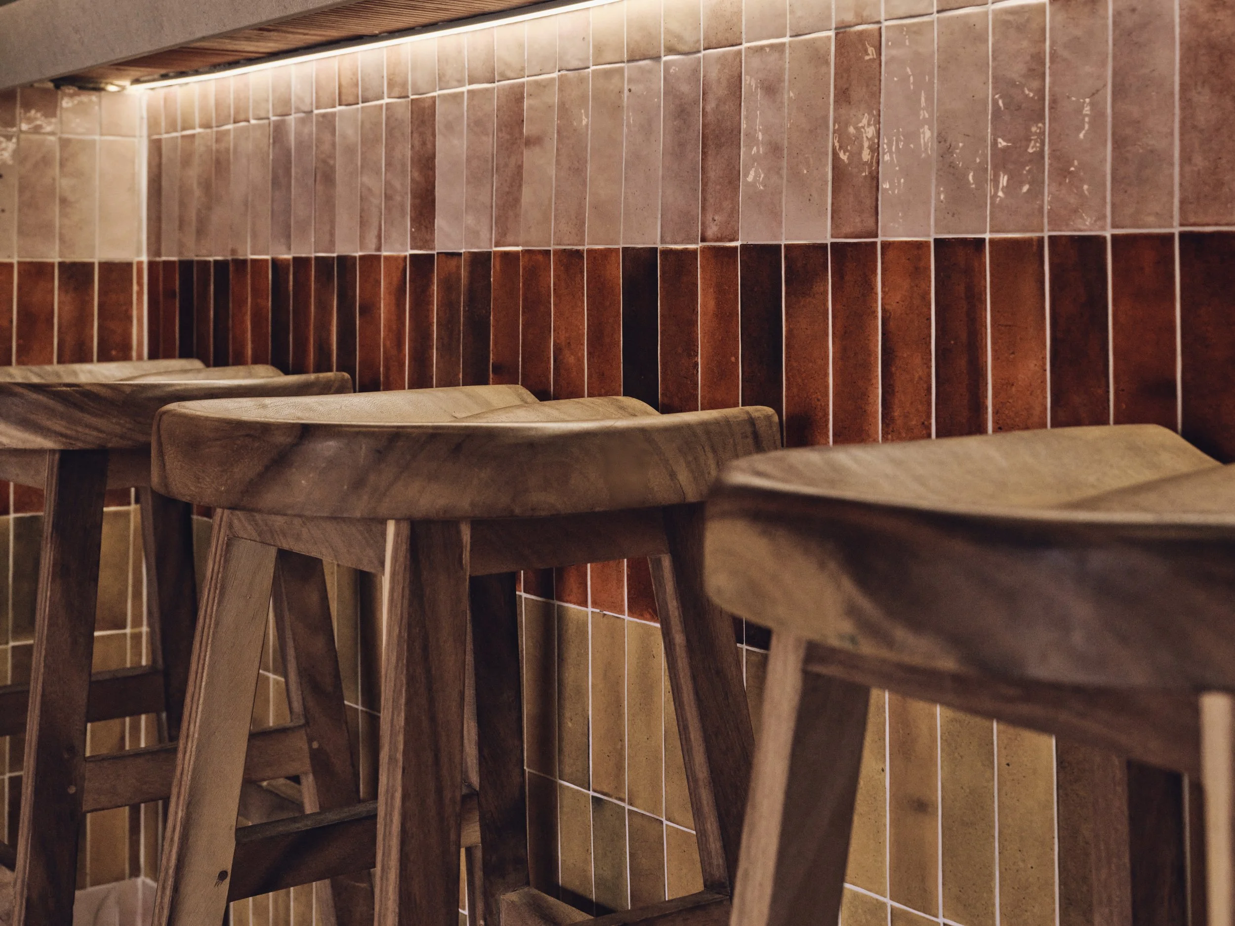 PALMITO_Mijas_ 72.JPG