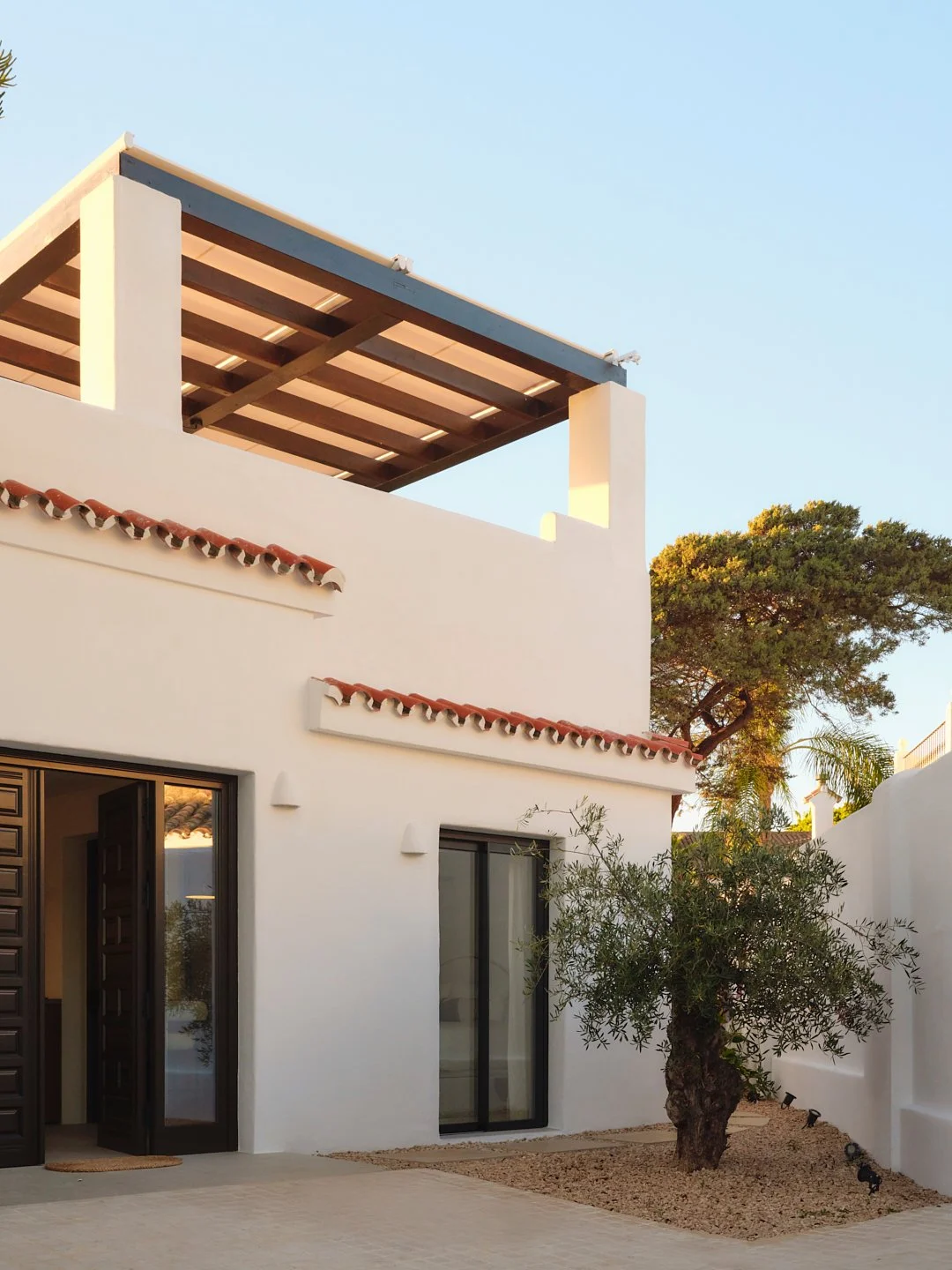 Palmito Nov25_6 170.jpg