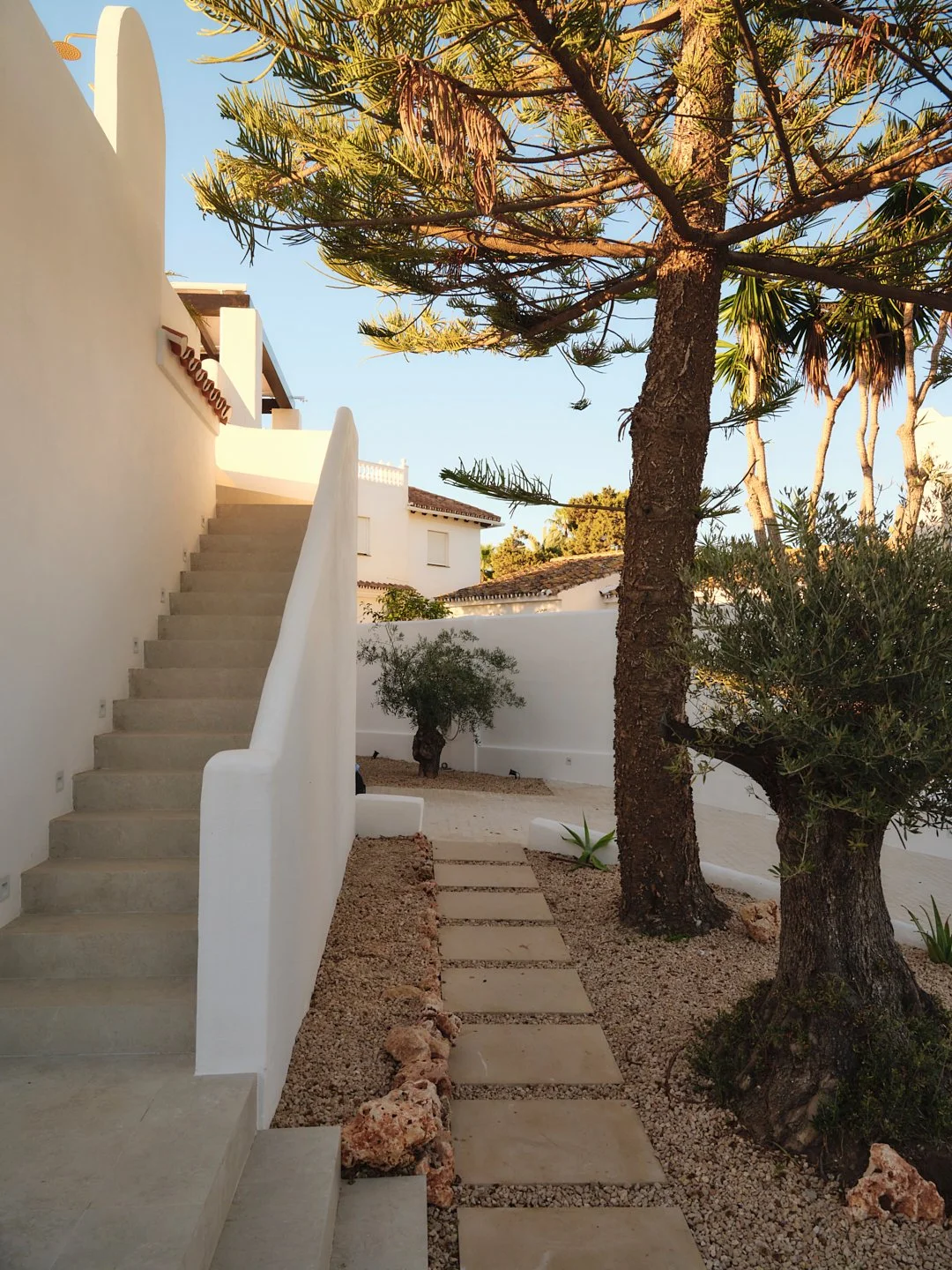 Palmito Nov25_6 166.jpg