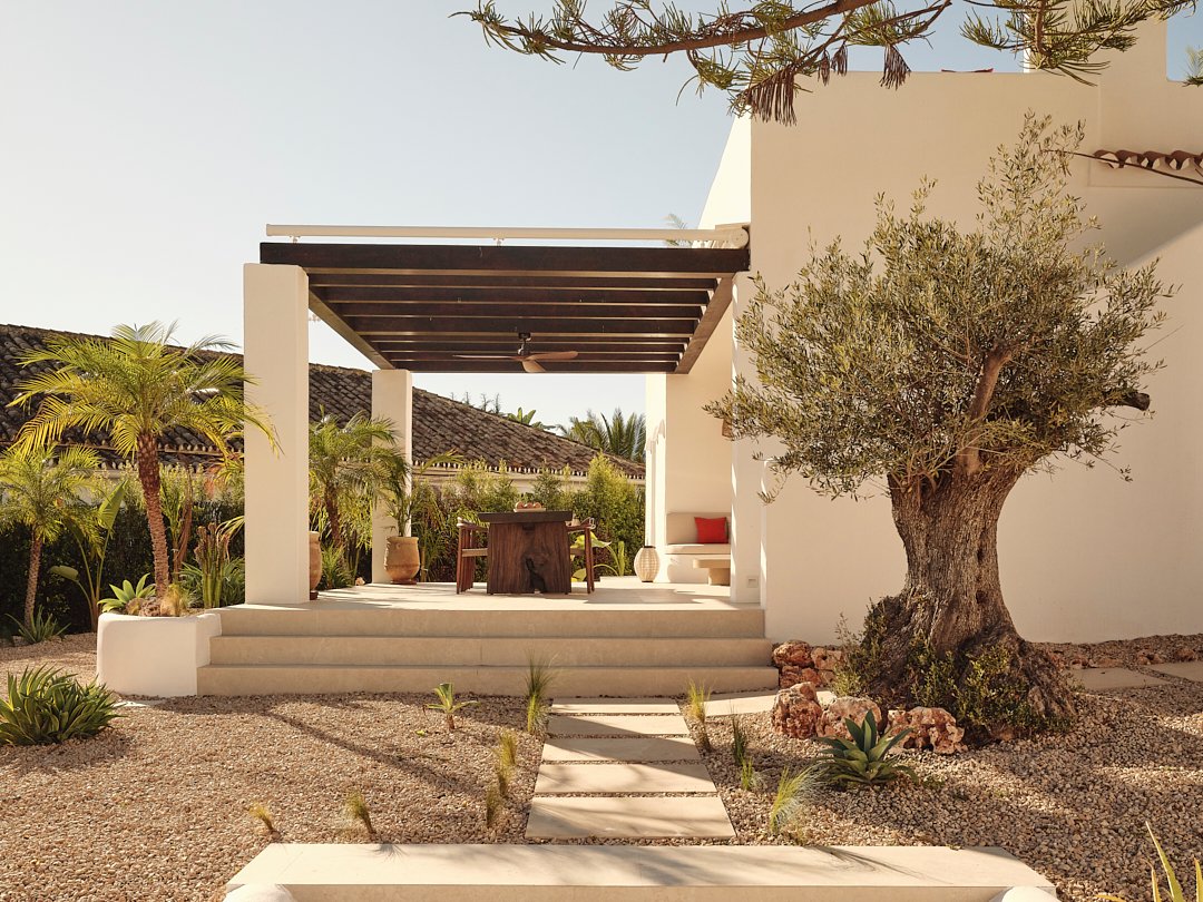 Palmito Nov25_6 9.jpg