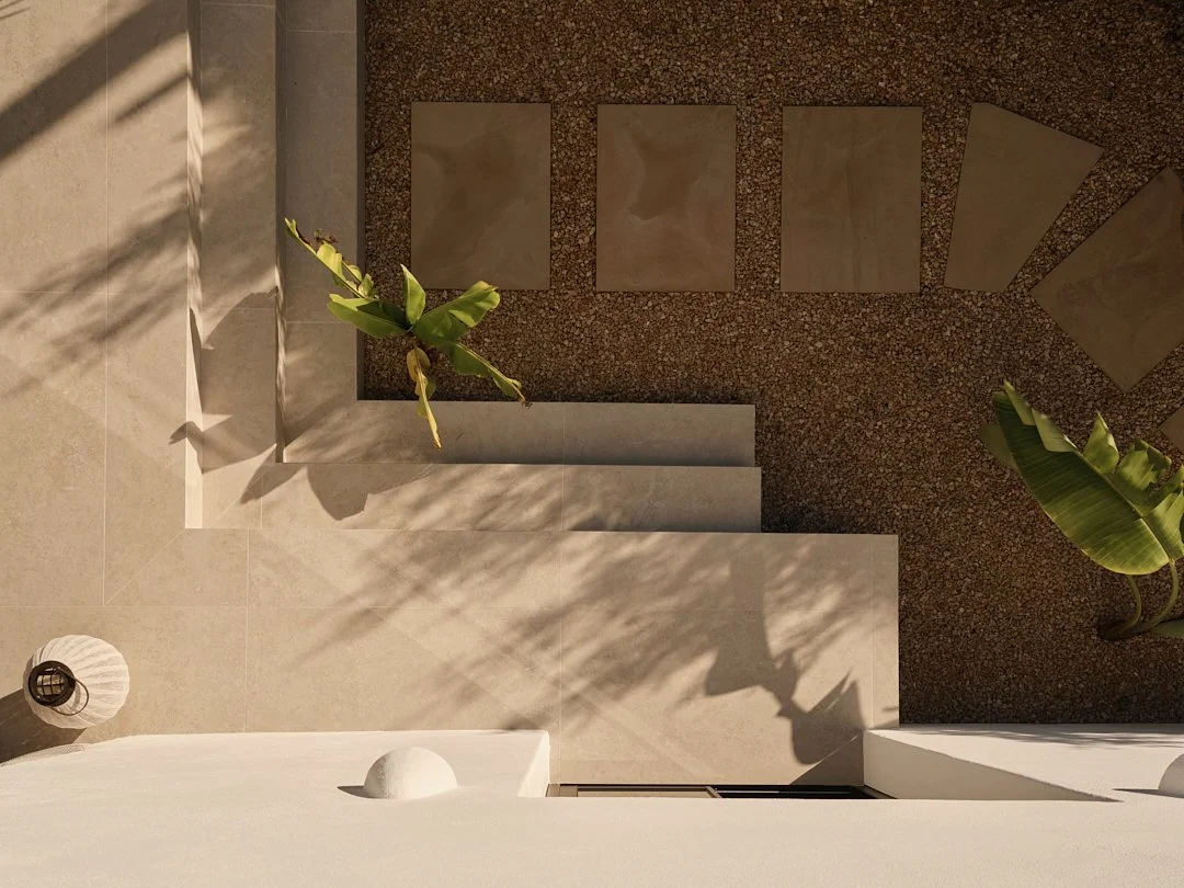 Palmito Nov25_6 65.jpg