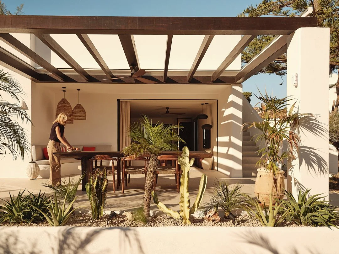 Palmito Nov25_6 16.jpg