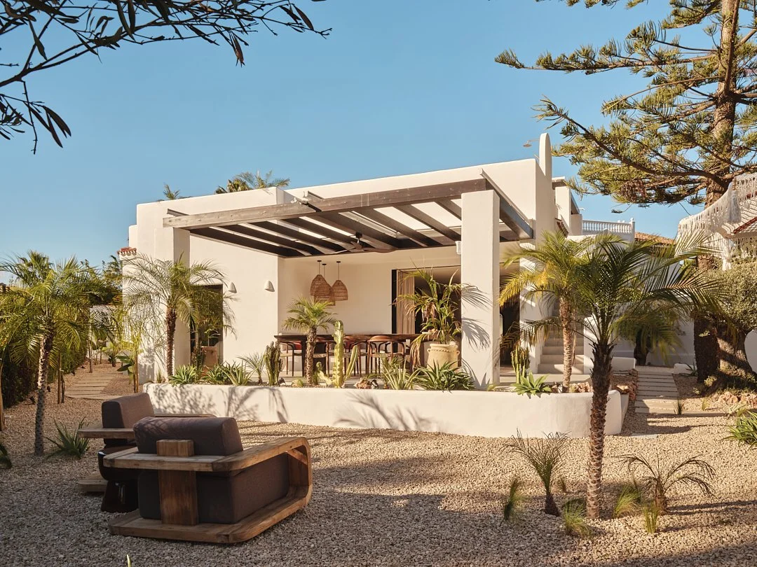 Palmito Nov25_6 2.jpg