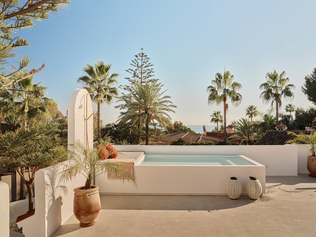 Palmito Nov25_6 48.jpg