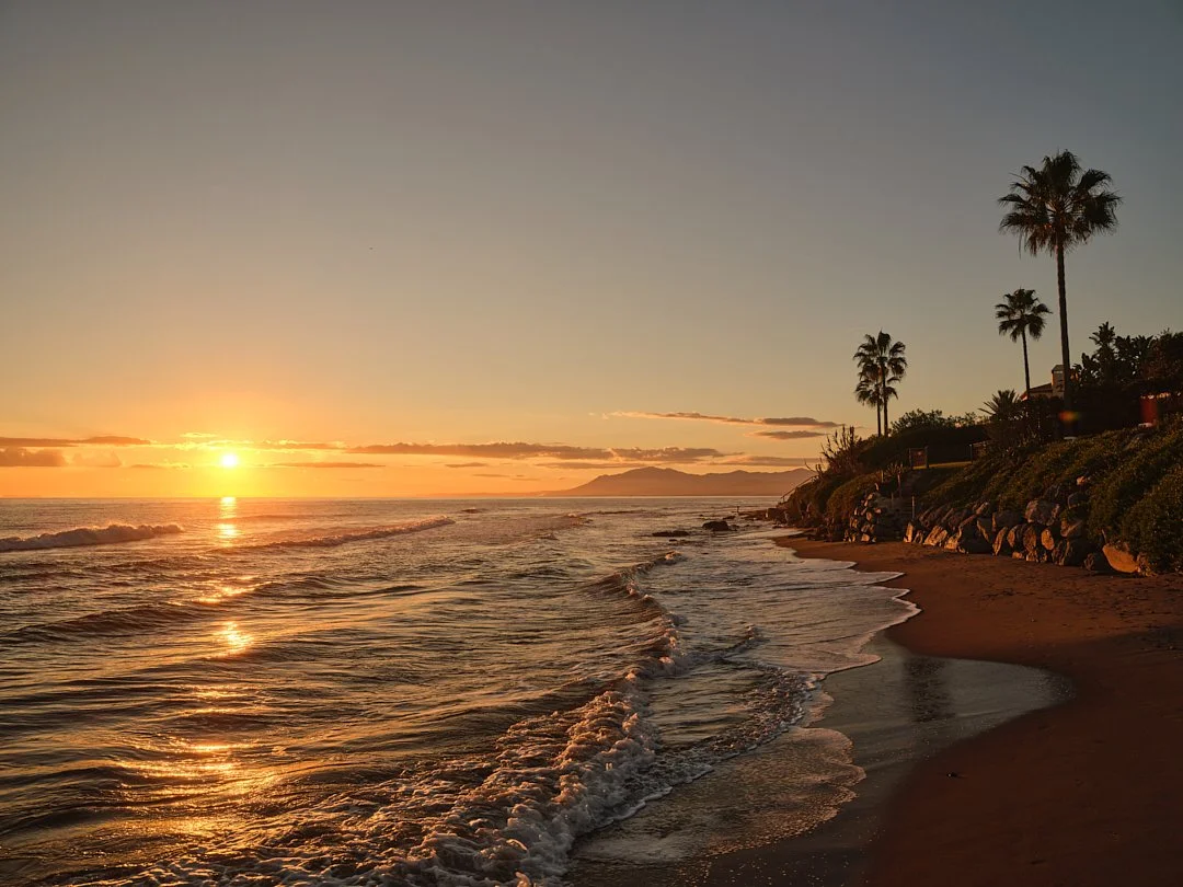 Palmito Nov25_6 182.jpg