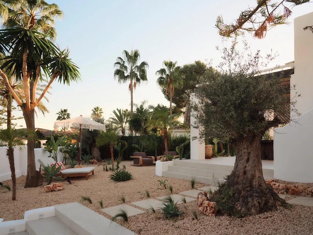 Palmito Nov25_6 171.jpg