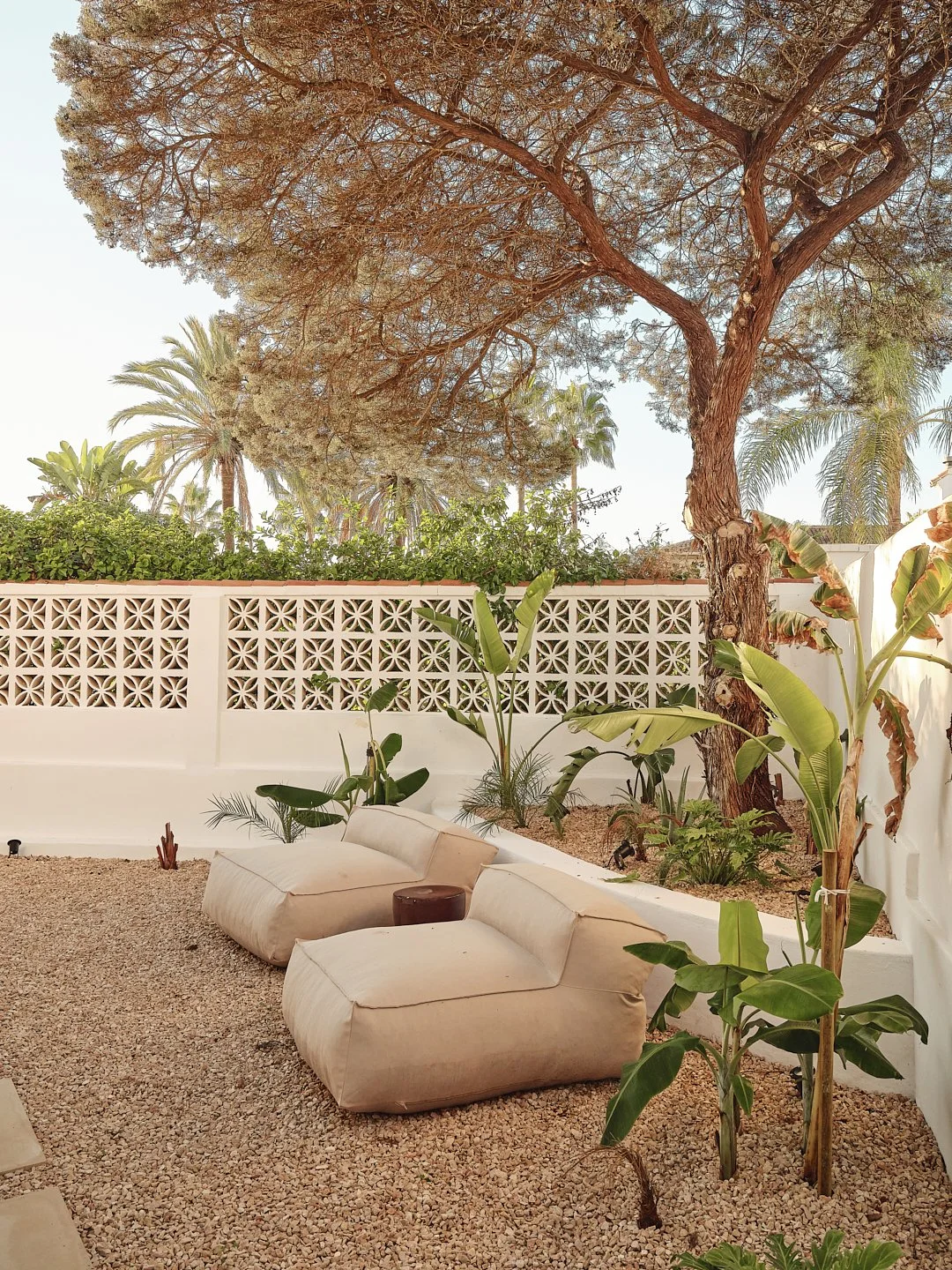 Palmito Nov25_6 144.jpg