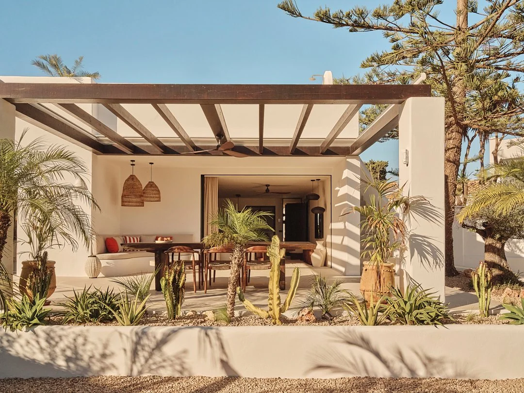 Palmito Nov25_6 19.jpg