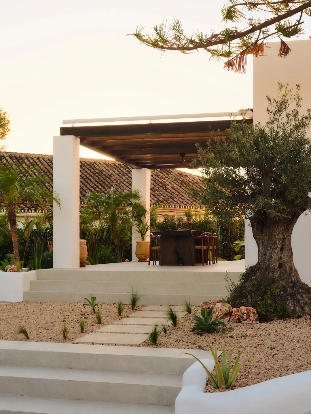 Palmito Nov25_6 174.jpg