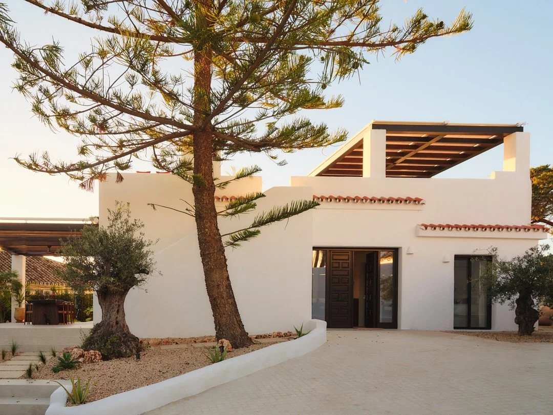 Palmito Nov25_6 173.jpg