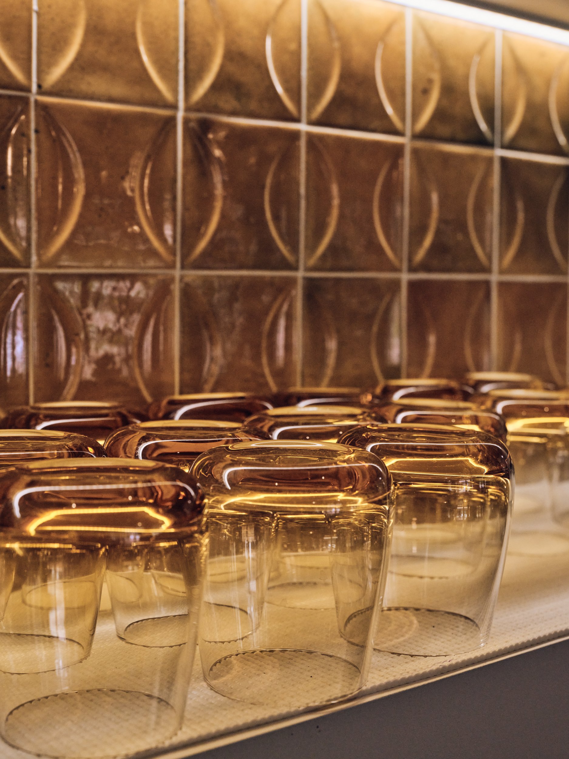 PALMITO_Mijas_ 75.JPG