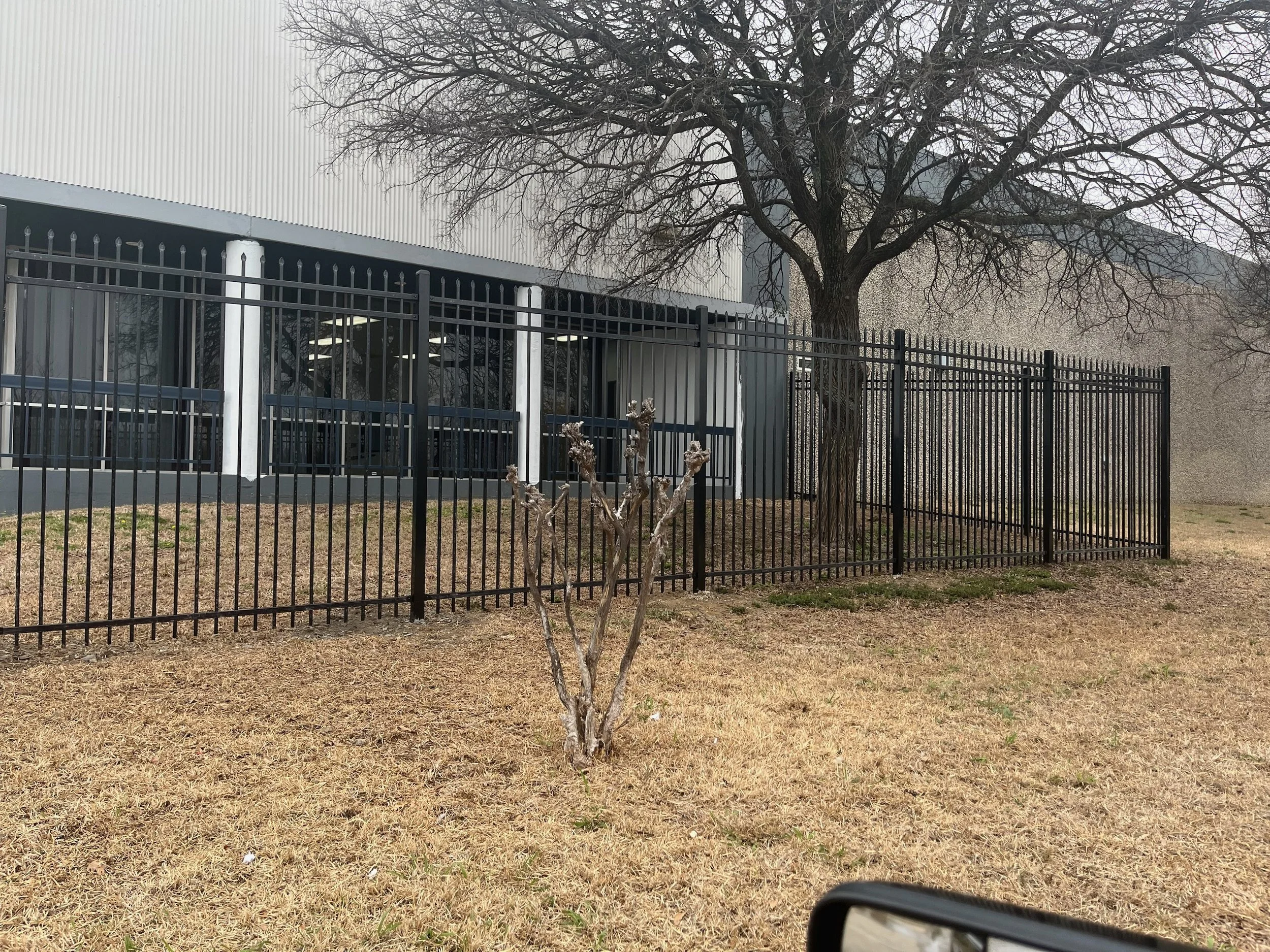 A black metal fence surrounds a grassy area with a small, leafless bush and a large leafless tree. In the background, there is a modern building with metal siding and large windows.
