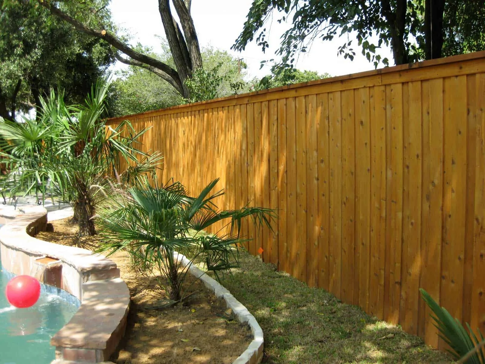 Backyard with wooden fence, small pool with a red ball, and palm trees.