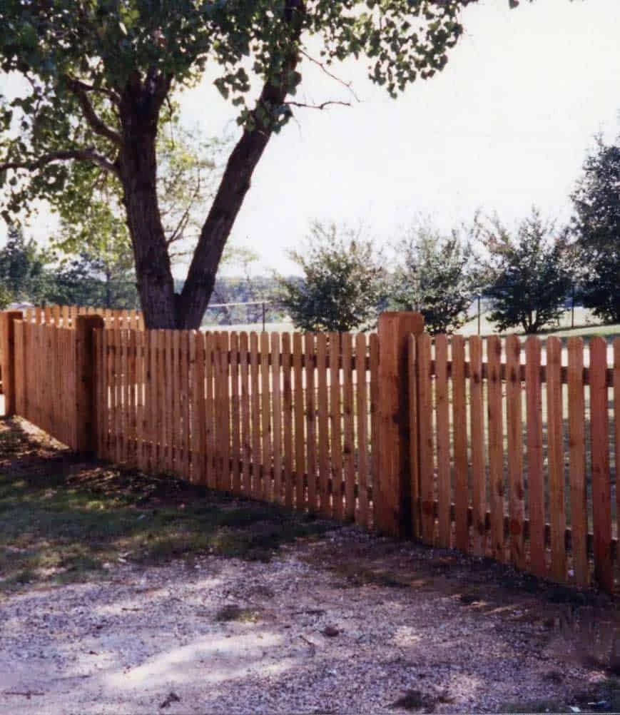 Wooden picket fence with a large tree and smaller trees in the background, outdoors on a sunny day.