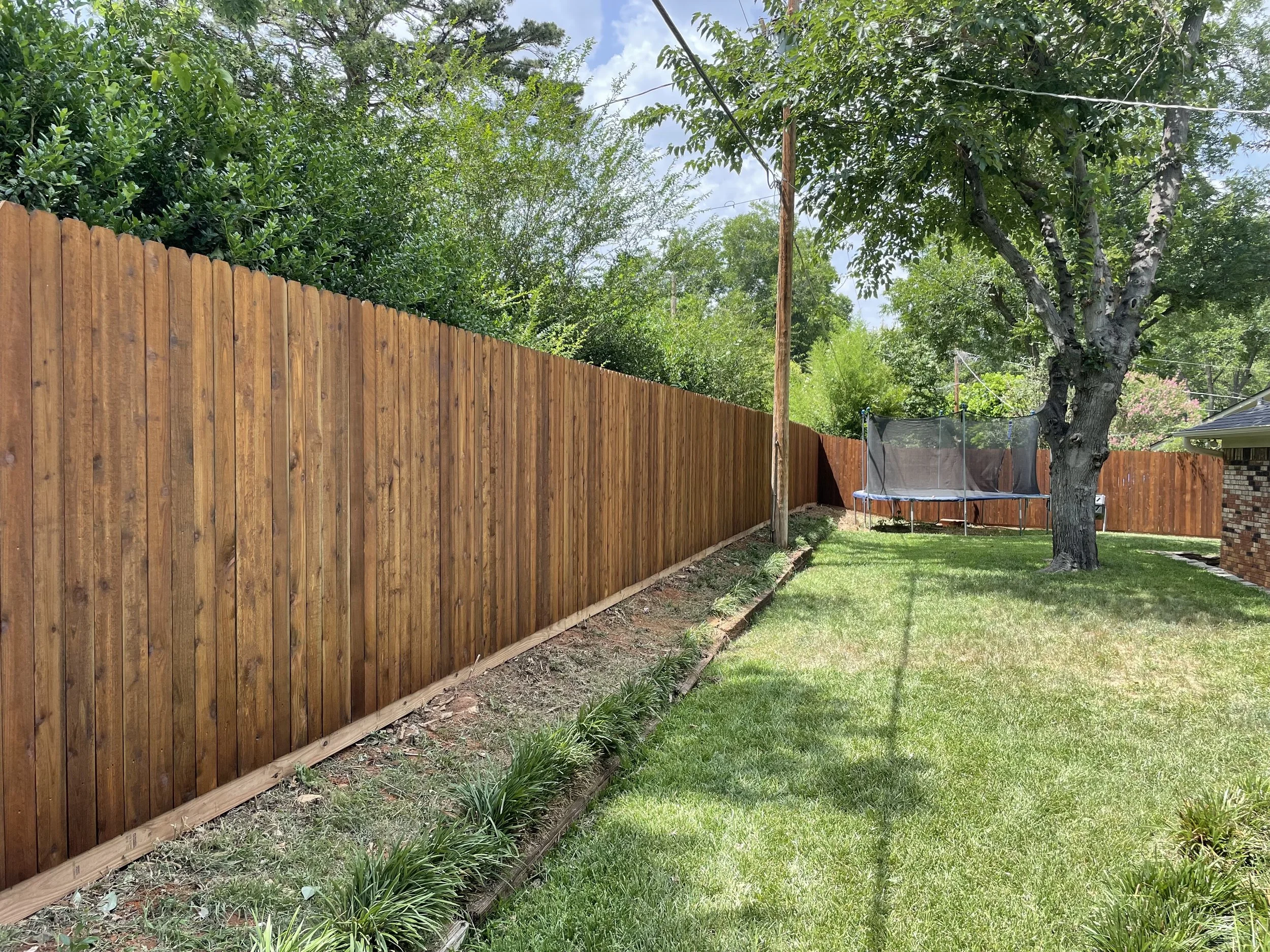 A backyard with a newly installed wooden fence, a trampoline, a large tree, and a grassy yard with small plants along the fence line.
