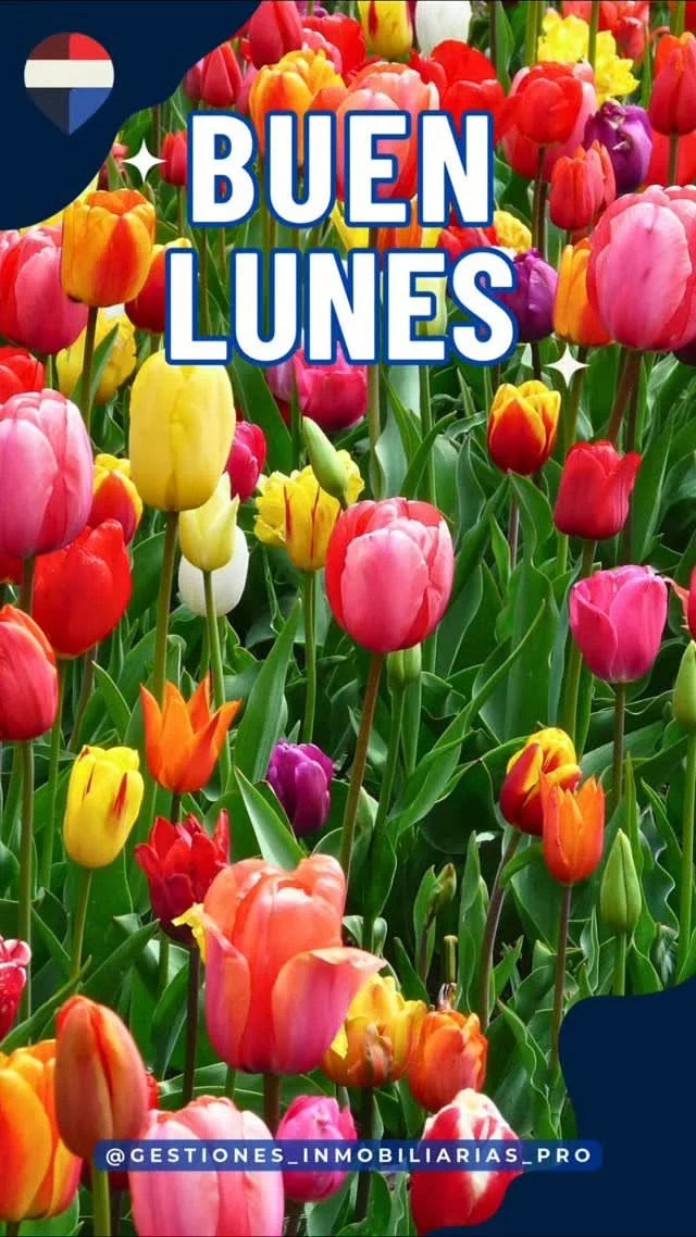 Se nos va septiembre pero llegó con la primavera! 🌷
Disfruta de esta nueva estación en el hogar de tus sueños con REMAX PRO 🏡
#chile #propiedades #bienesraices #spring