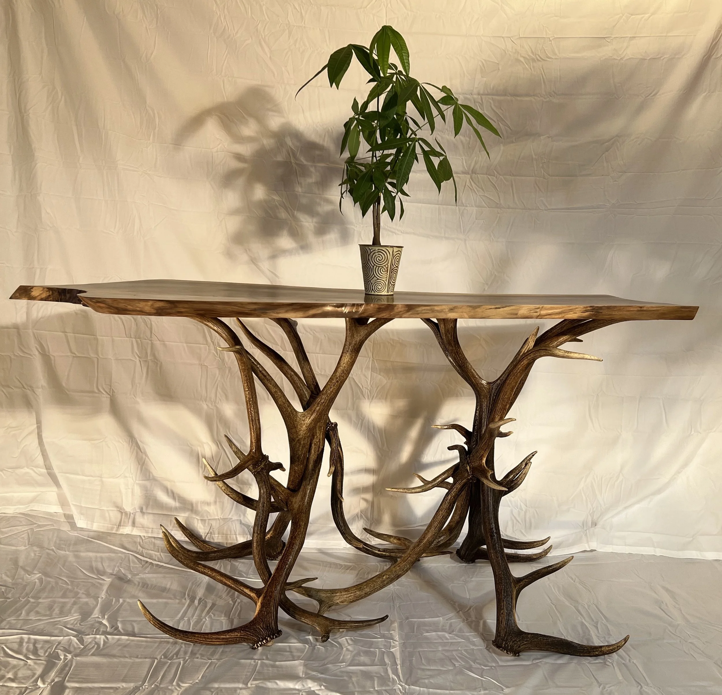 ELK ANTLER - LIVE EDGE TABLE (Sold)