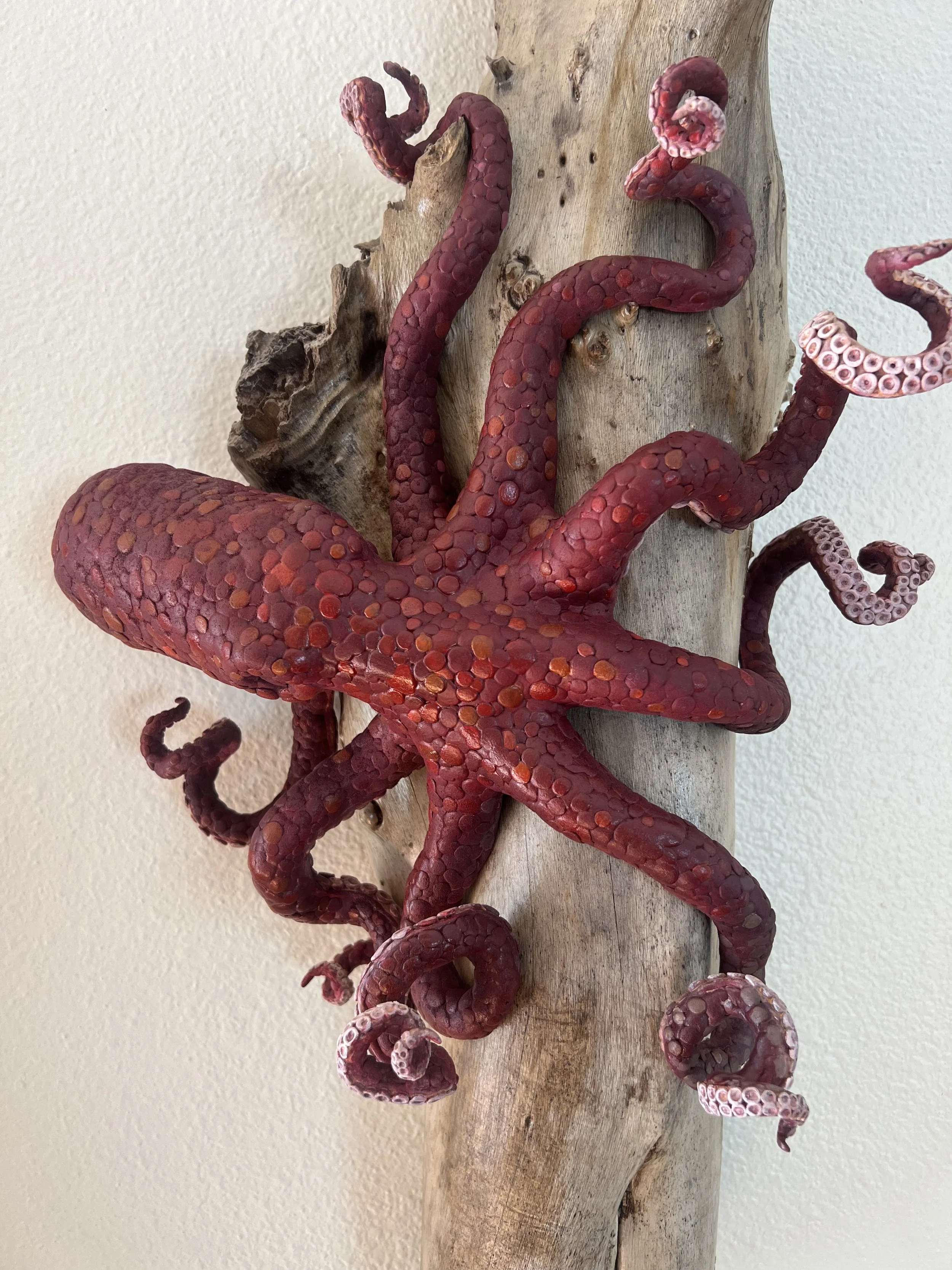 OCTOPUS SCULPTURE - $3,500 (pt. 1) (Sold)