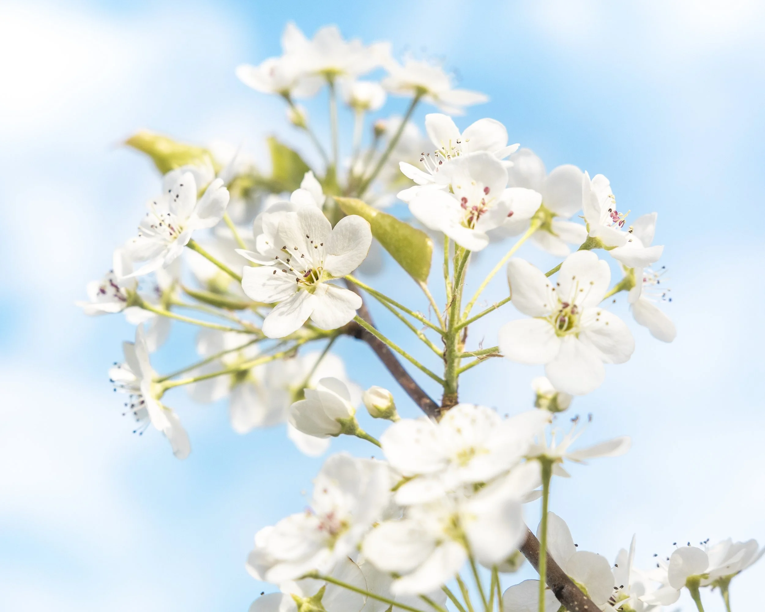 _U2A8754-3.jpg