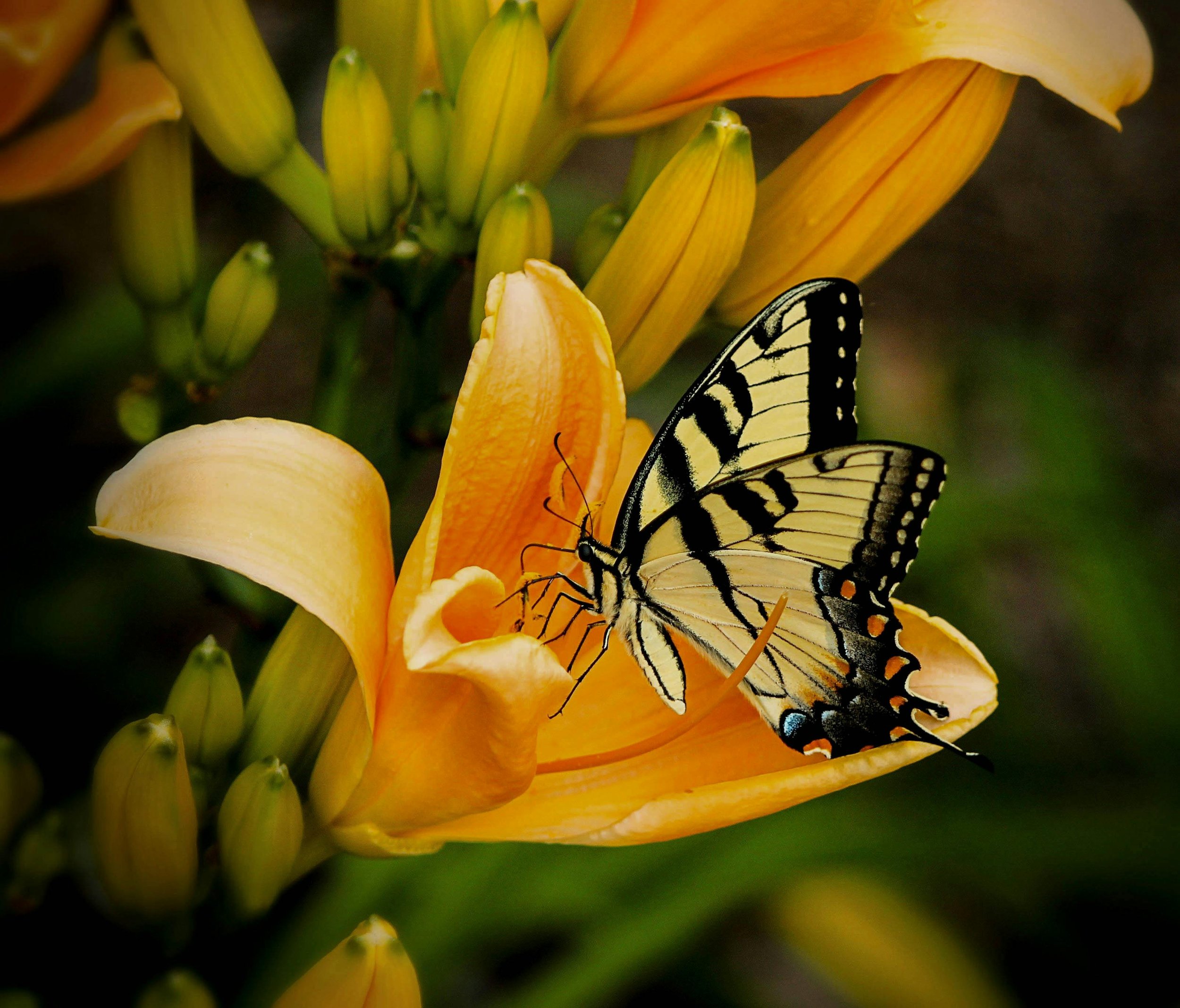 Talk Therapy- The Value of Self-Reflection 