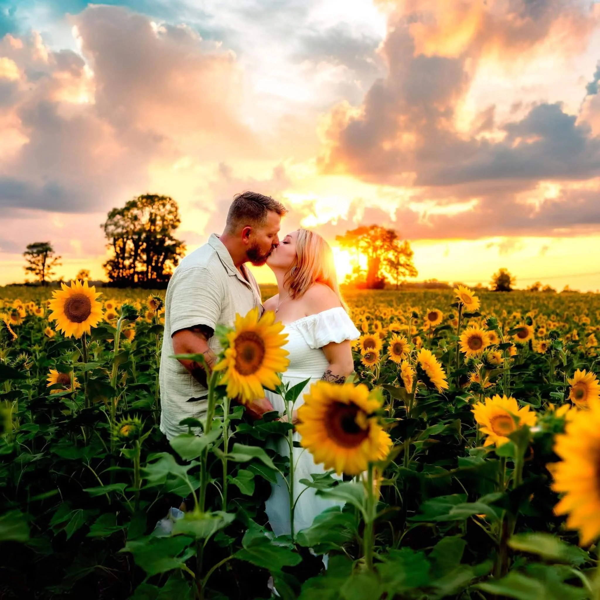 A couple sharing a kiss in a sunflower field at sunset.