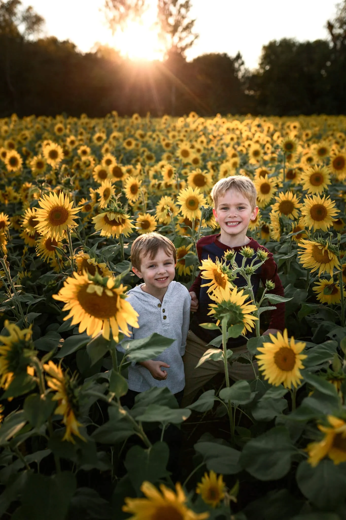 Two young boys smiling in a sunflower field during sunset.