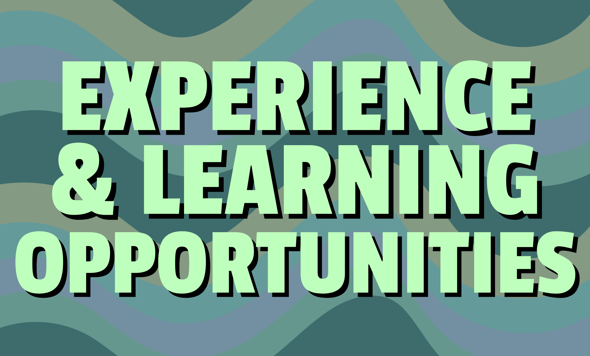 Experience & Learning Opportunities