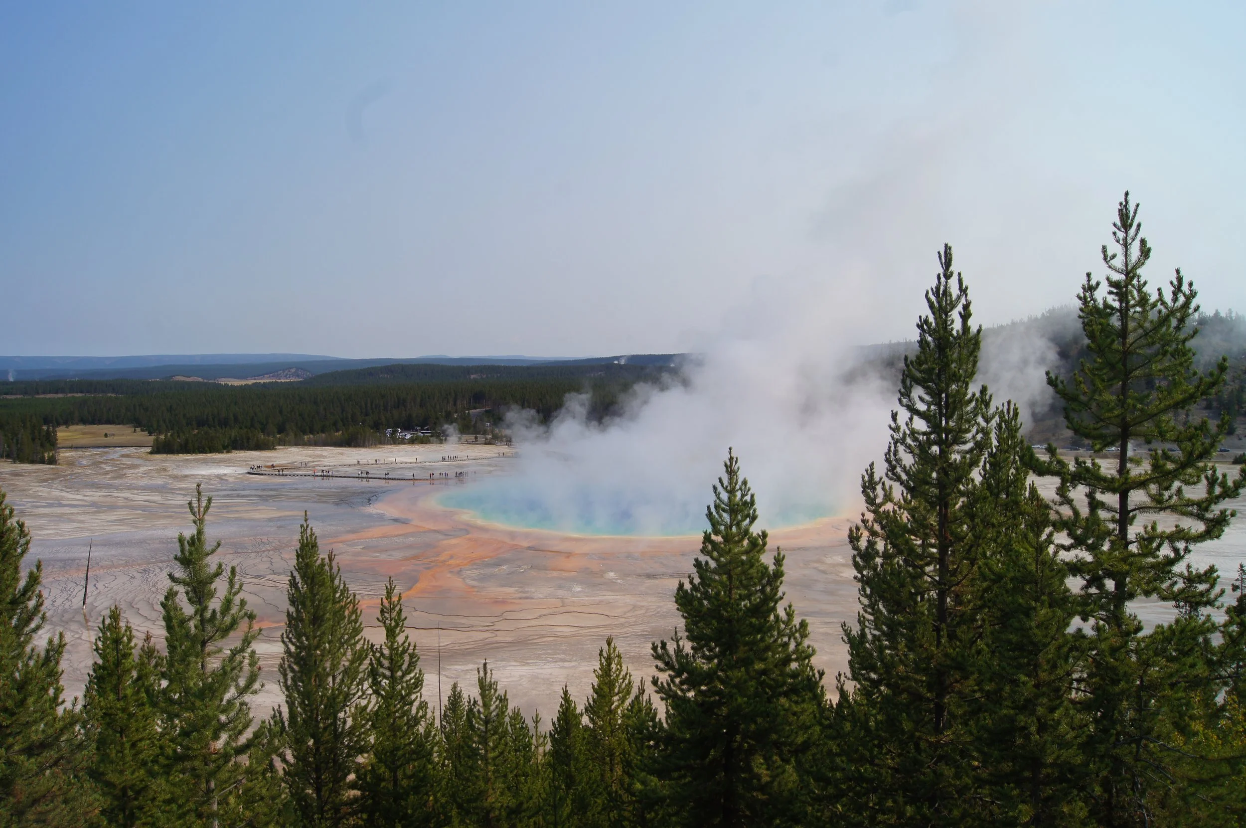 DSC05434_1 - Copy.JPG